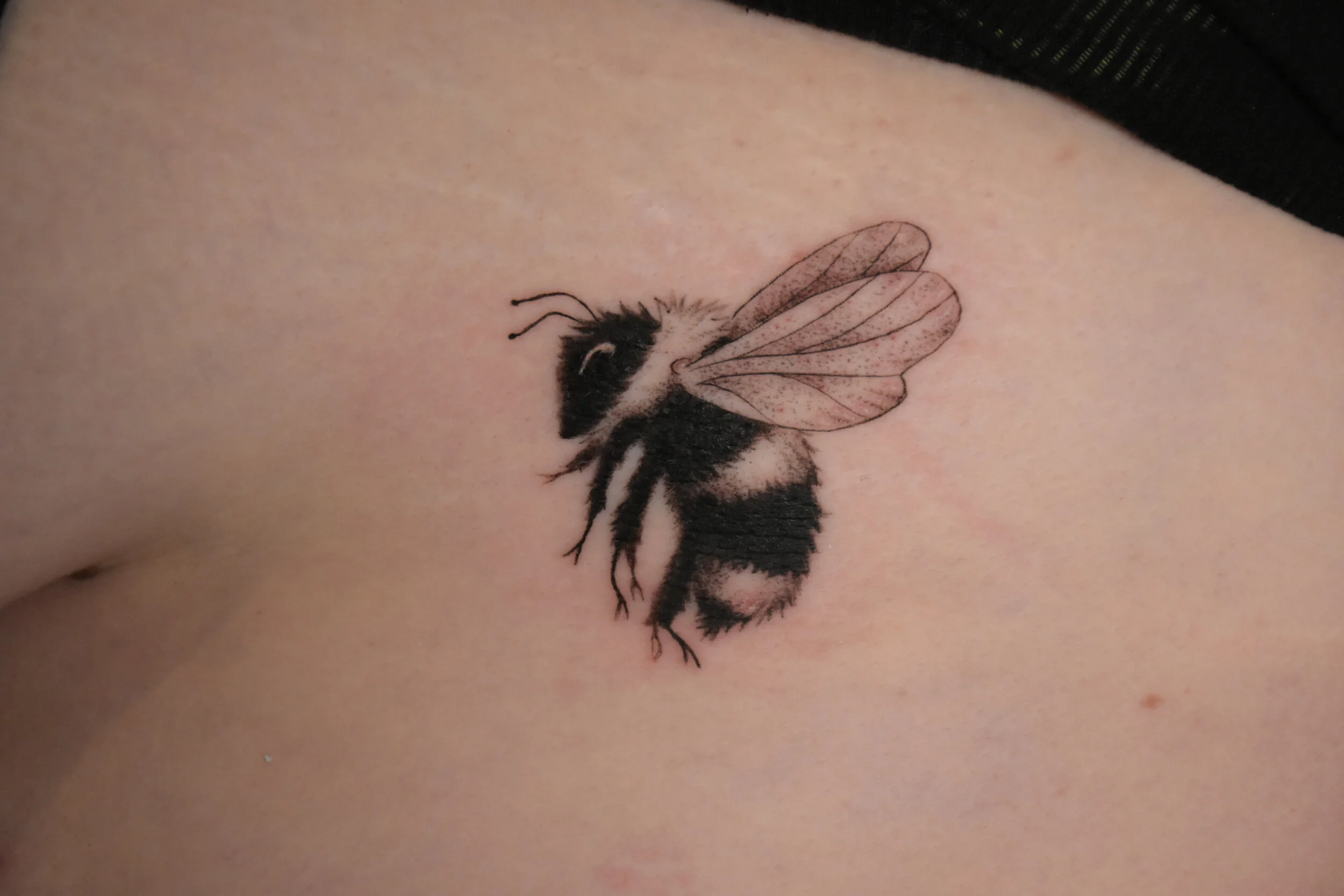 chubby bee edit-1 (1).JPG