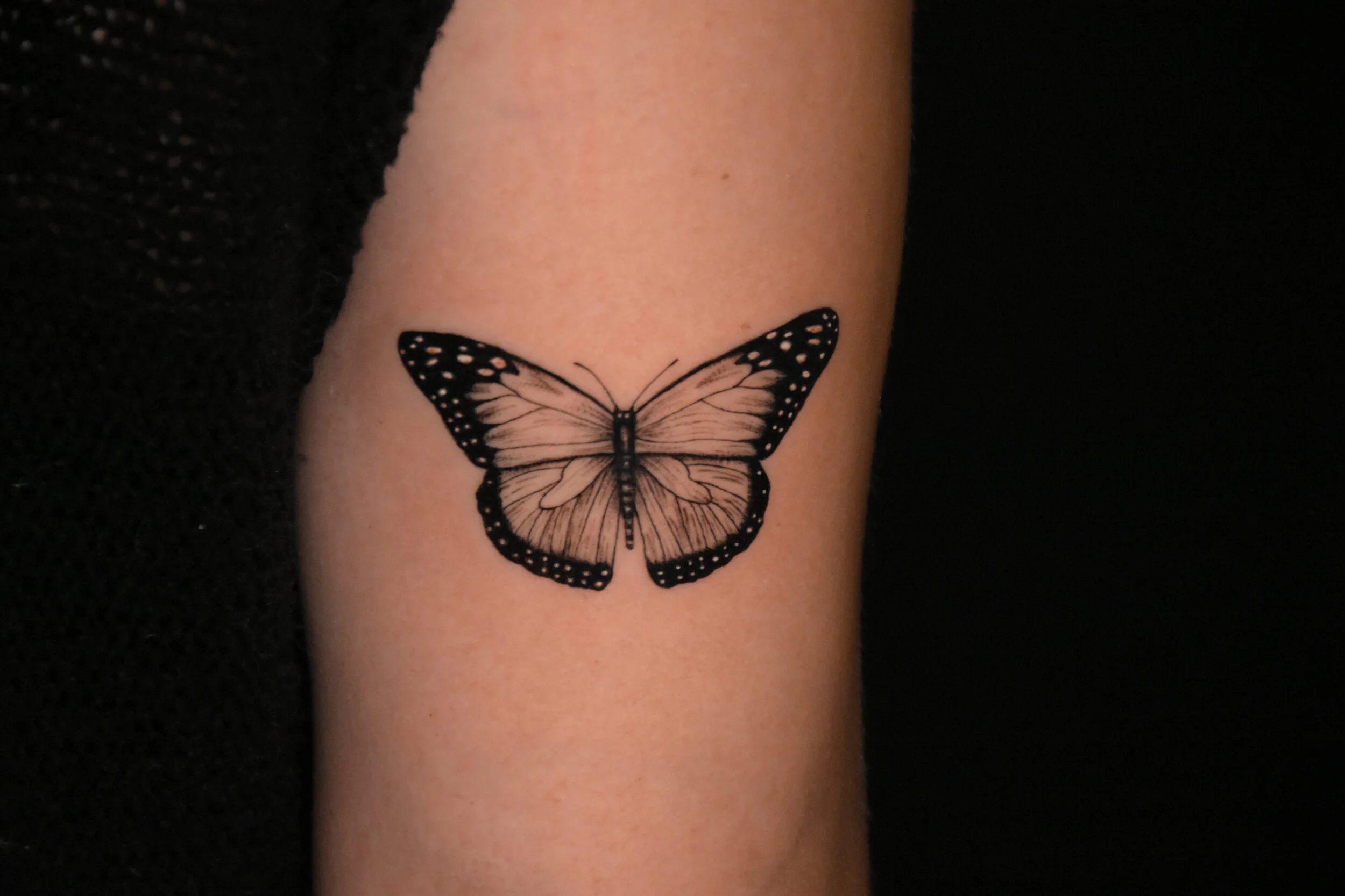 buttrerfly 2.0 edit-1 (1).JPG