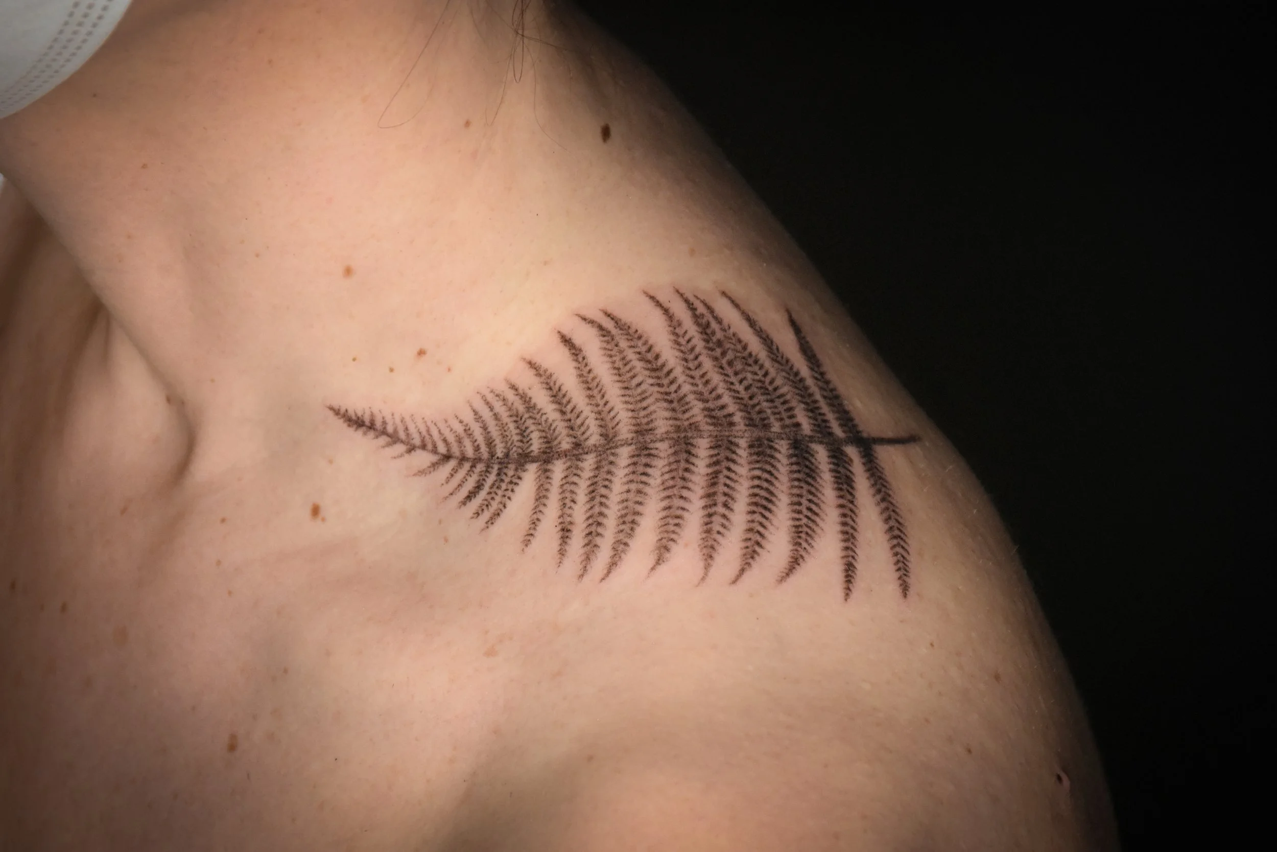 fern-tattoo.JPG