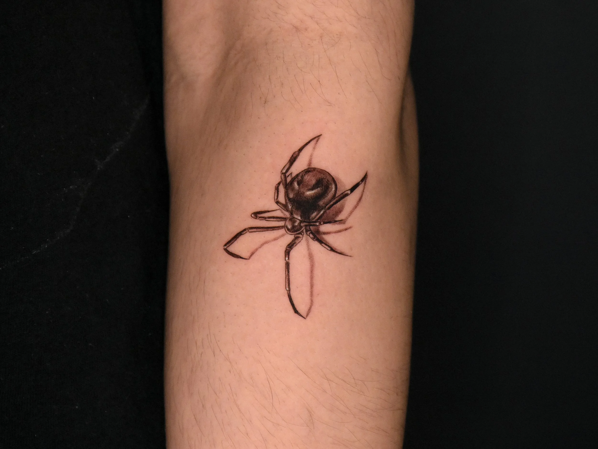 Spider-Tattoo.JPG