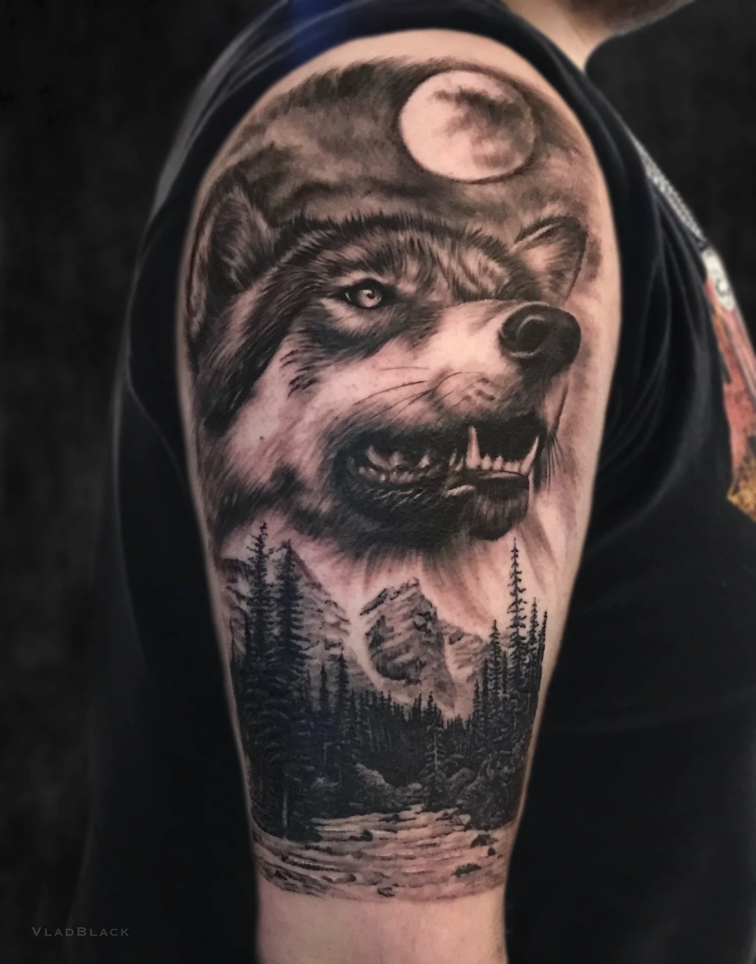 Иллюстрация_без_названия (2).JPG