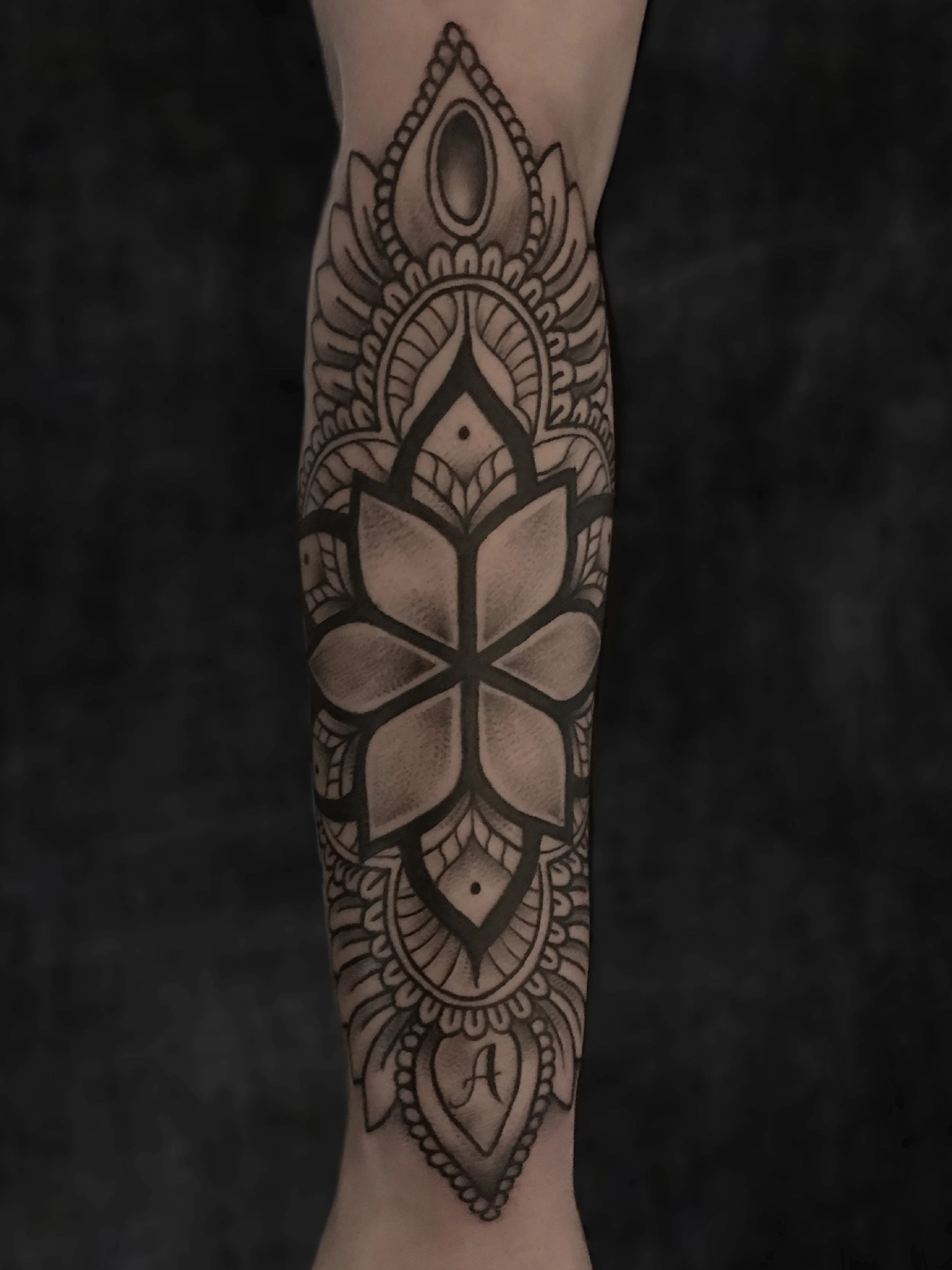 Иллюстрация_без_названия 2.JPG