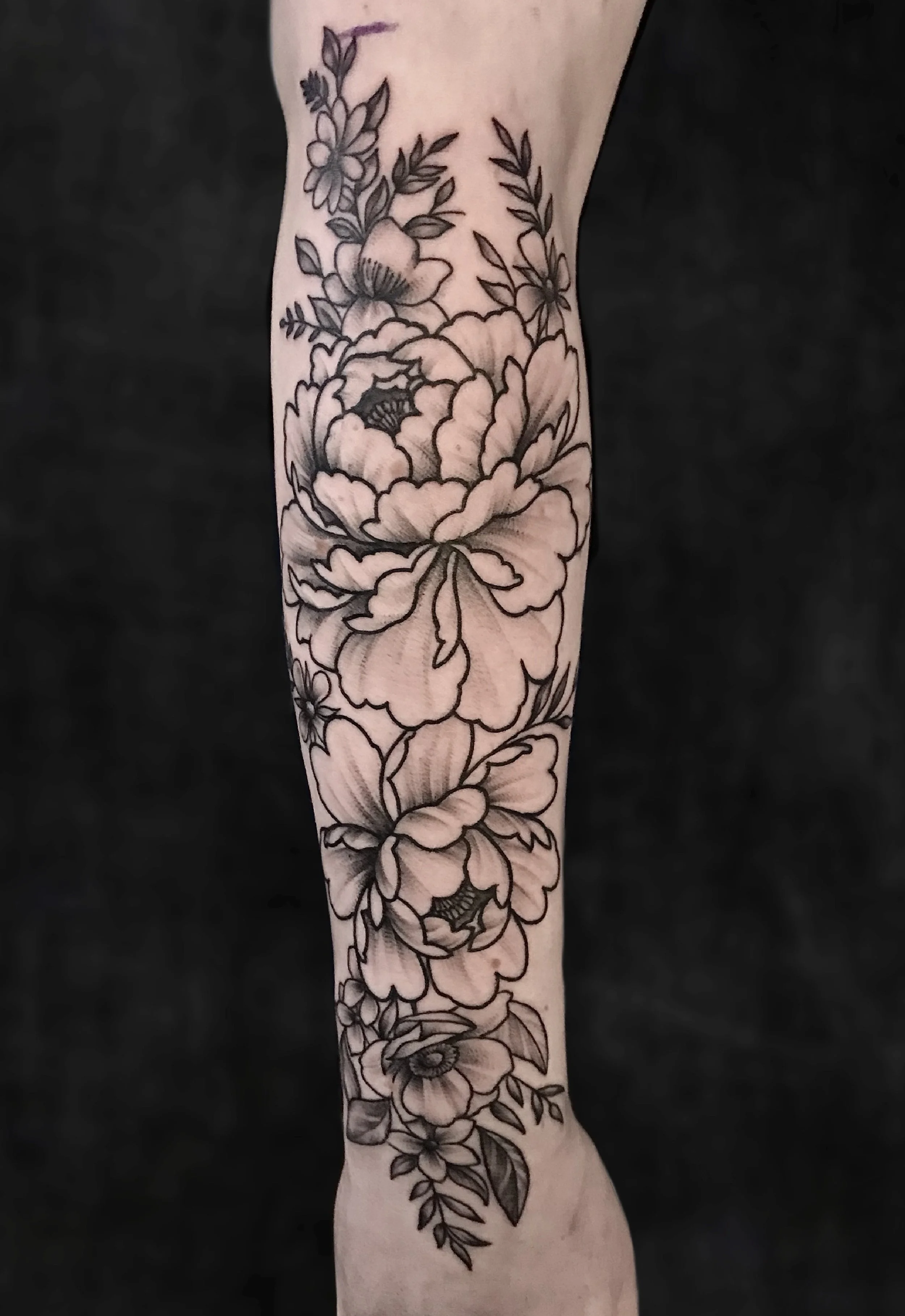 Иллюстрация_без_названия 3.JPG