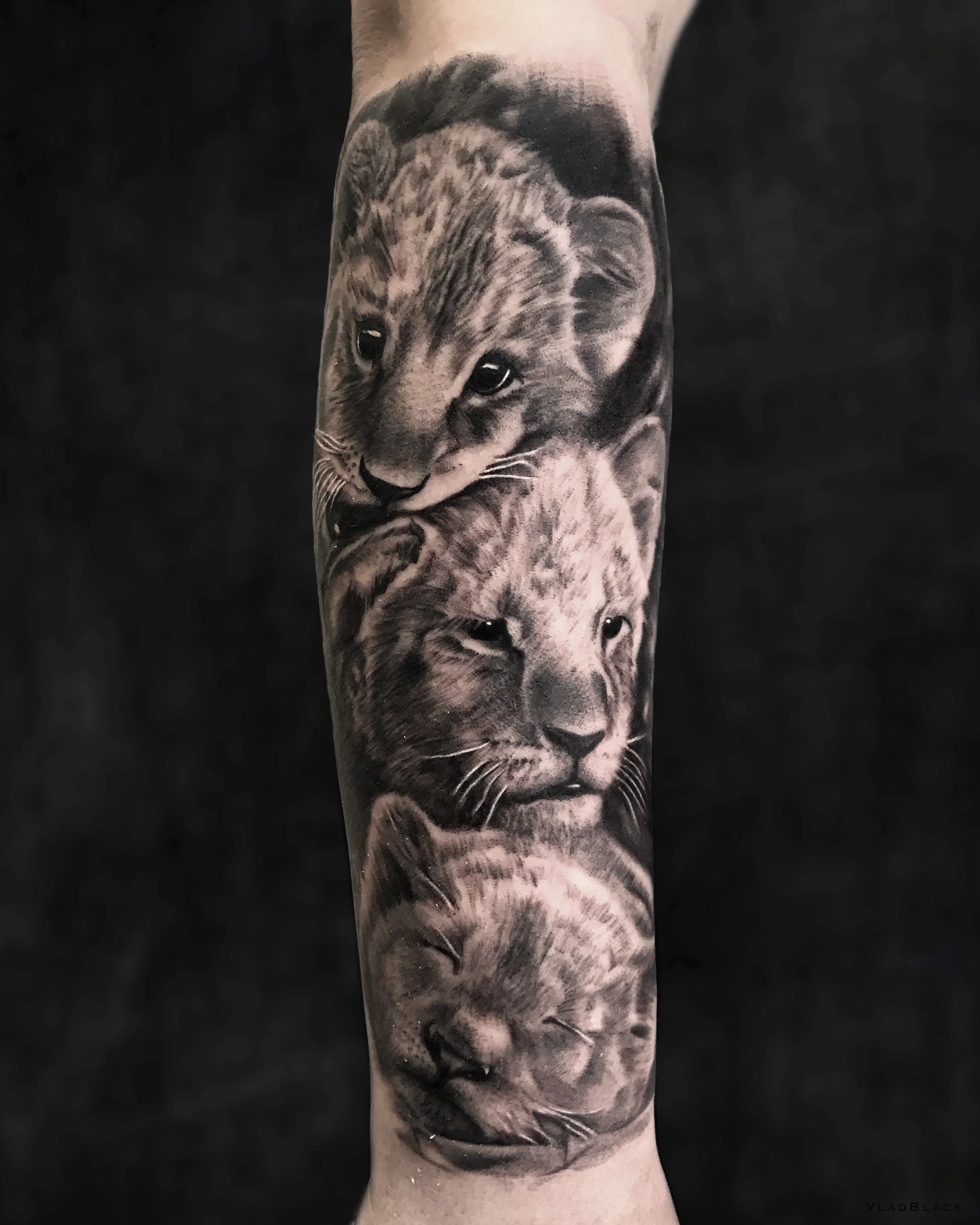 Иллюстрация_без_названия 4.JPG