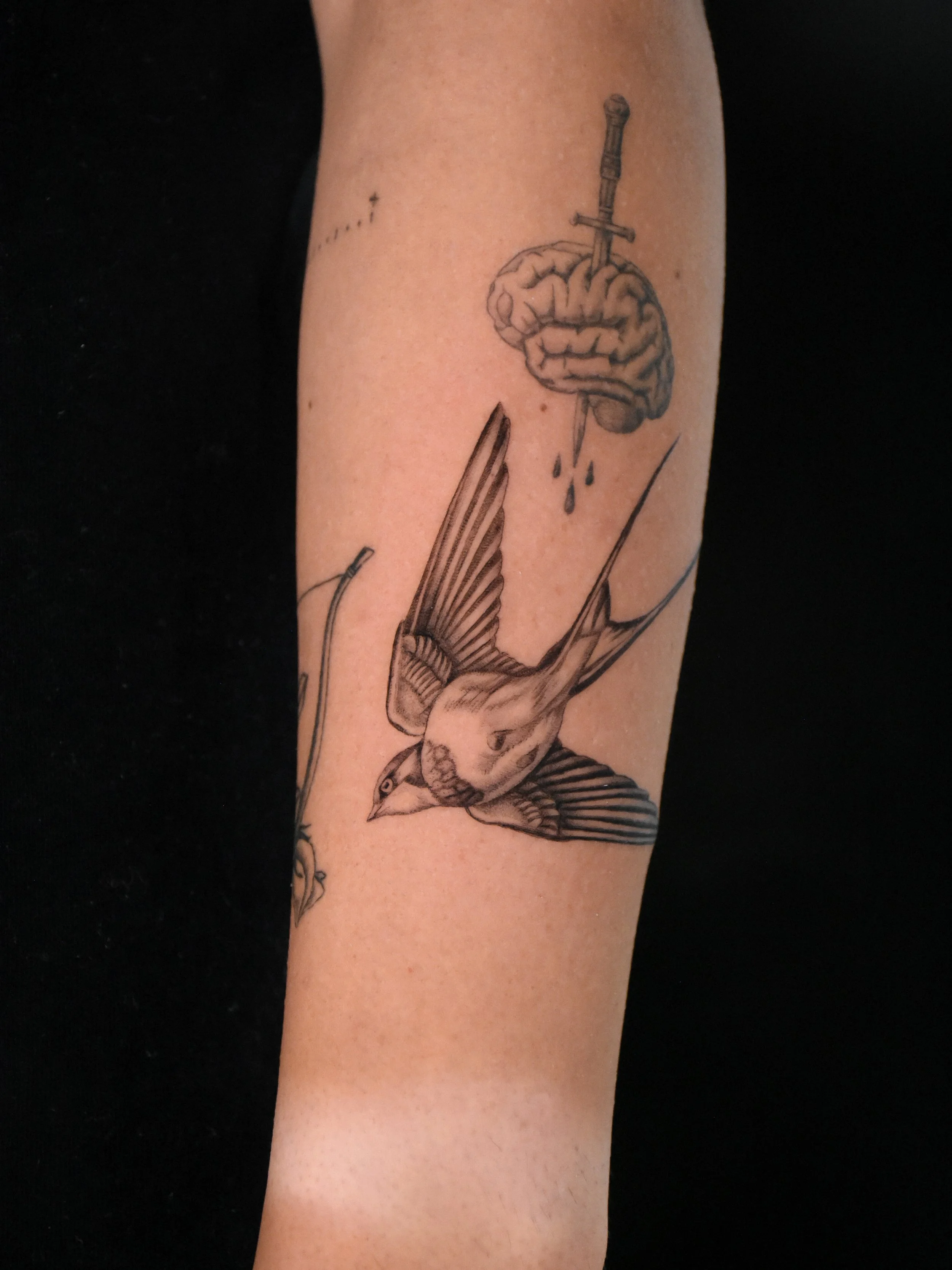 Best_fineline_swallow_tattoo_2.JPG