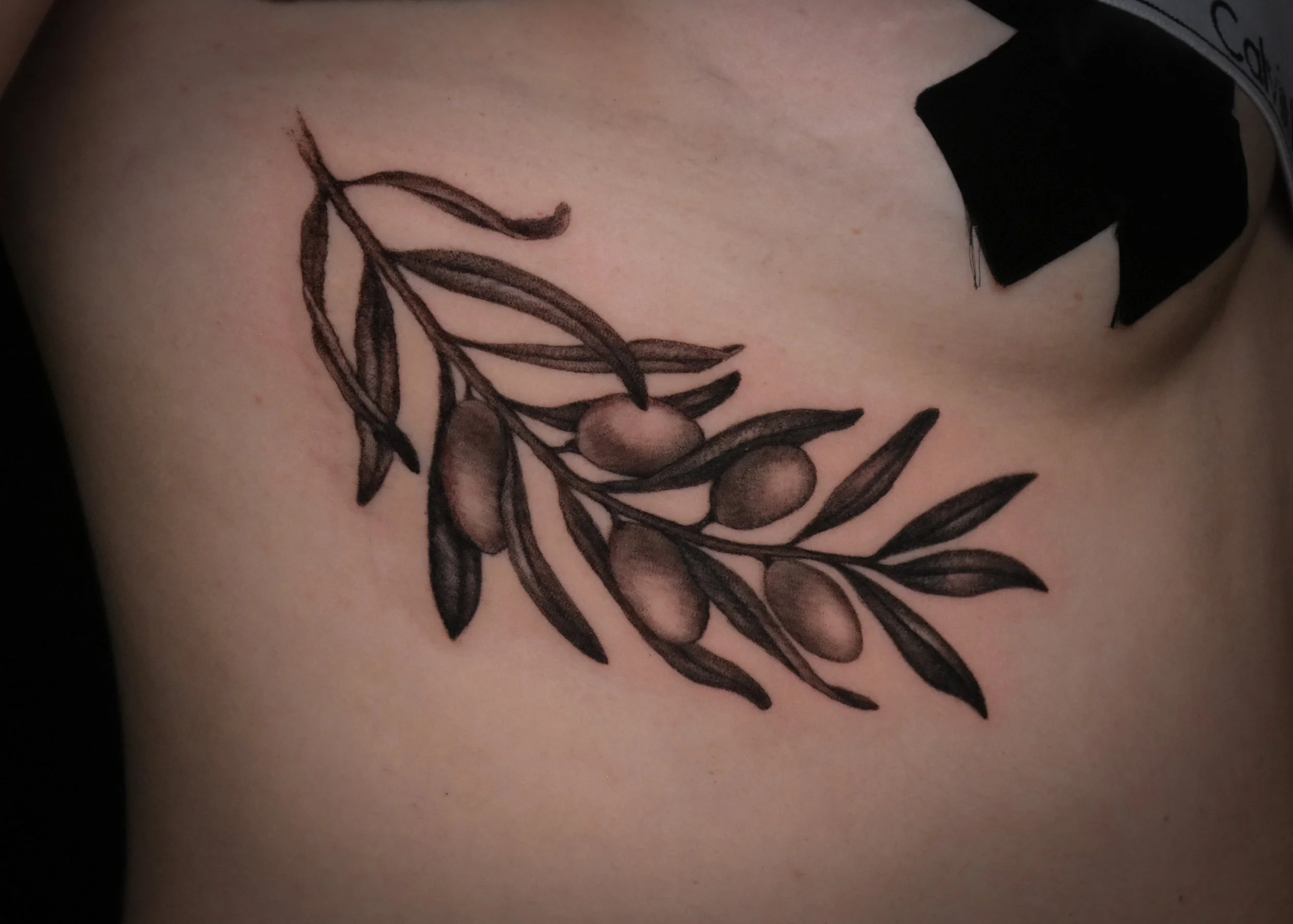 olivebranch-fine-linework-tattoo-toronto-artist-tattoowool-1.JPG