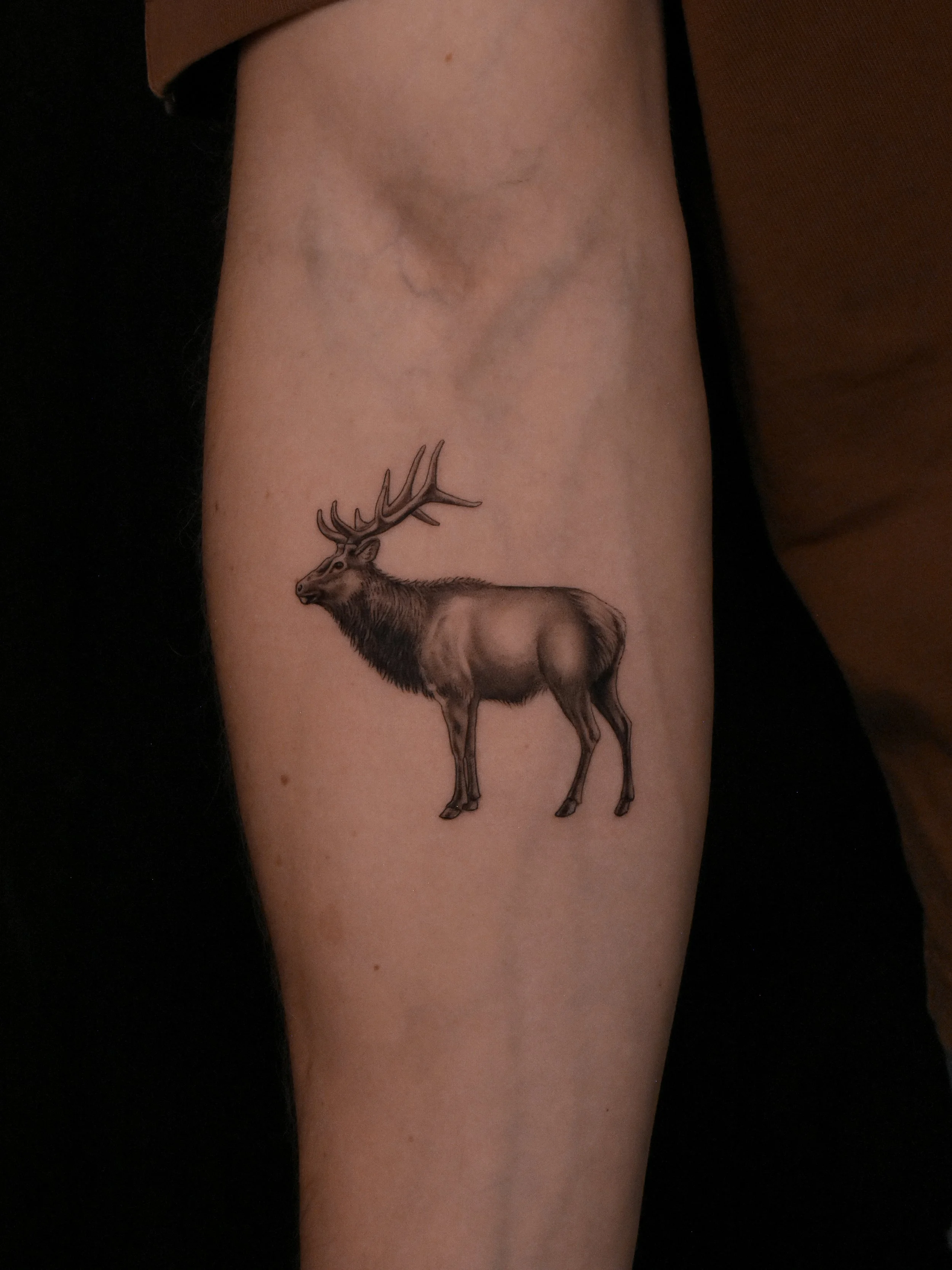 Best_fineline_elk_nature_tattoo_1.JPG