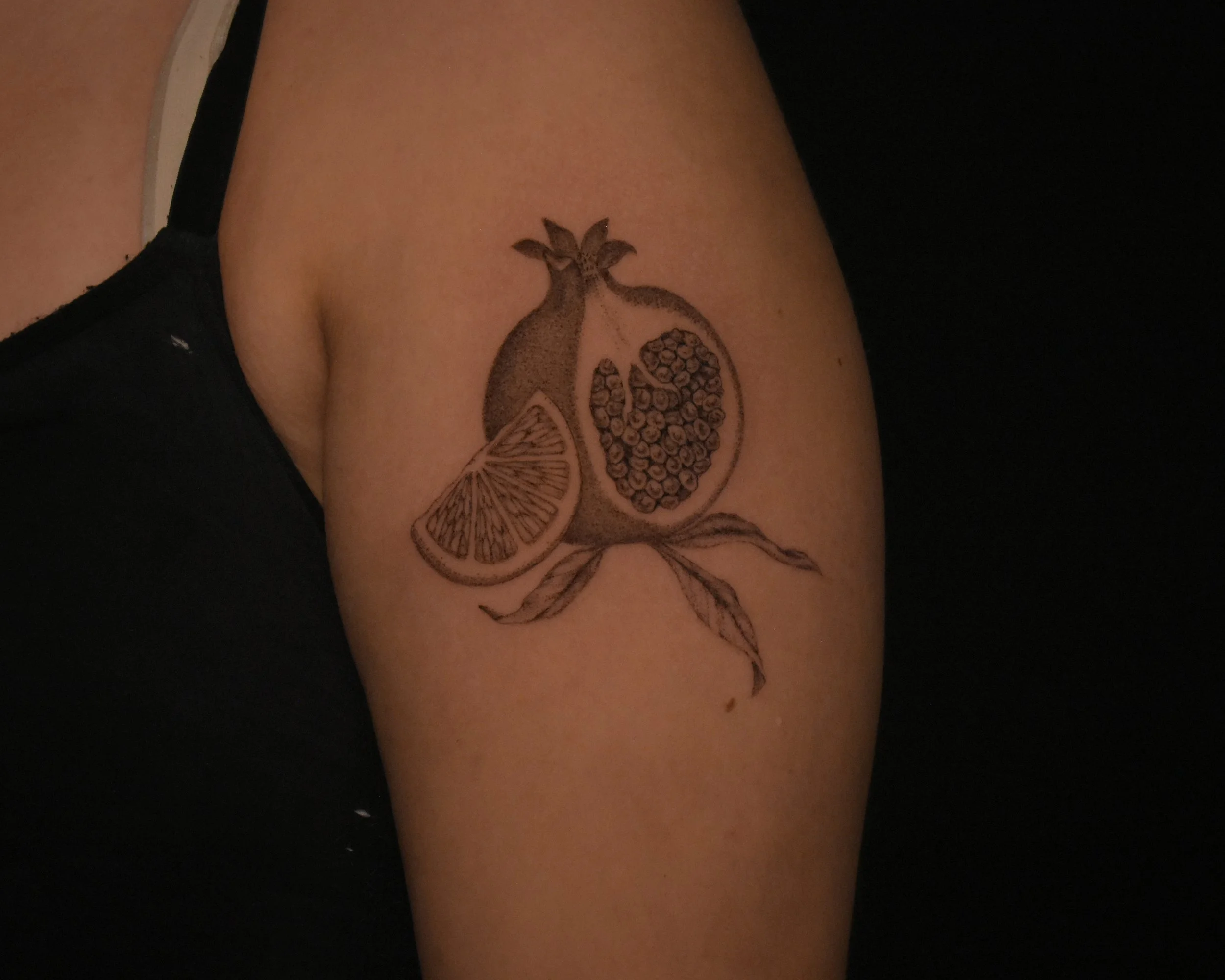 pomegranet-botanical-illustration-tattoo-toronto-artist—tattoowool-1.JPG