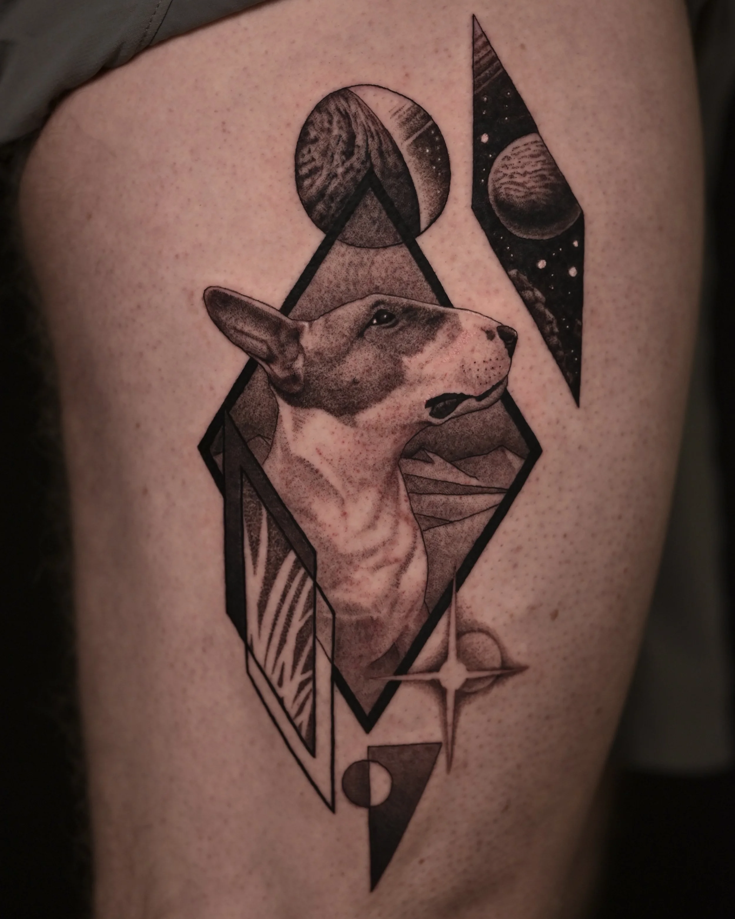 Bull_terrier_pet_portrait_best_tattoo_shop_toronto_black_and_grey.JPG