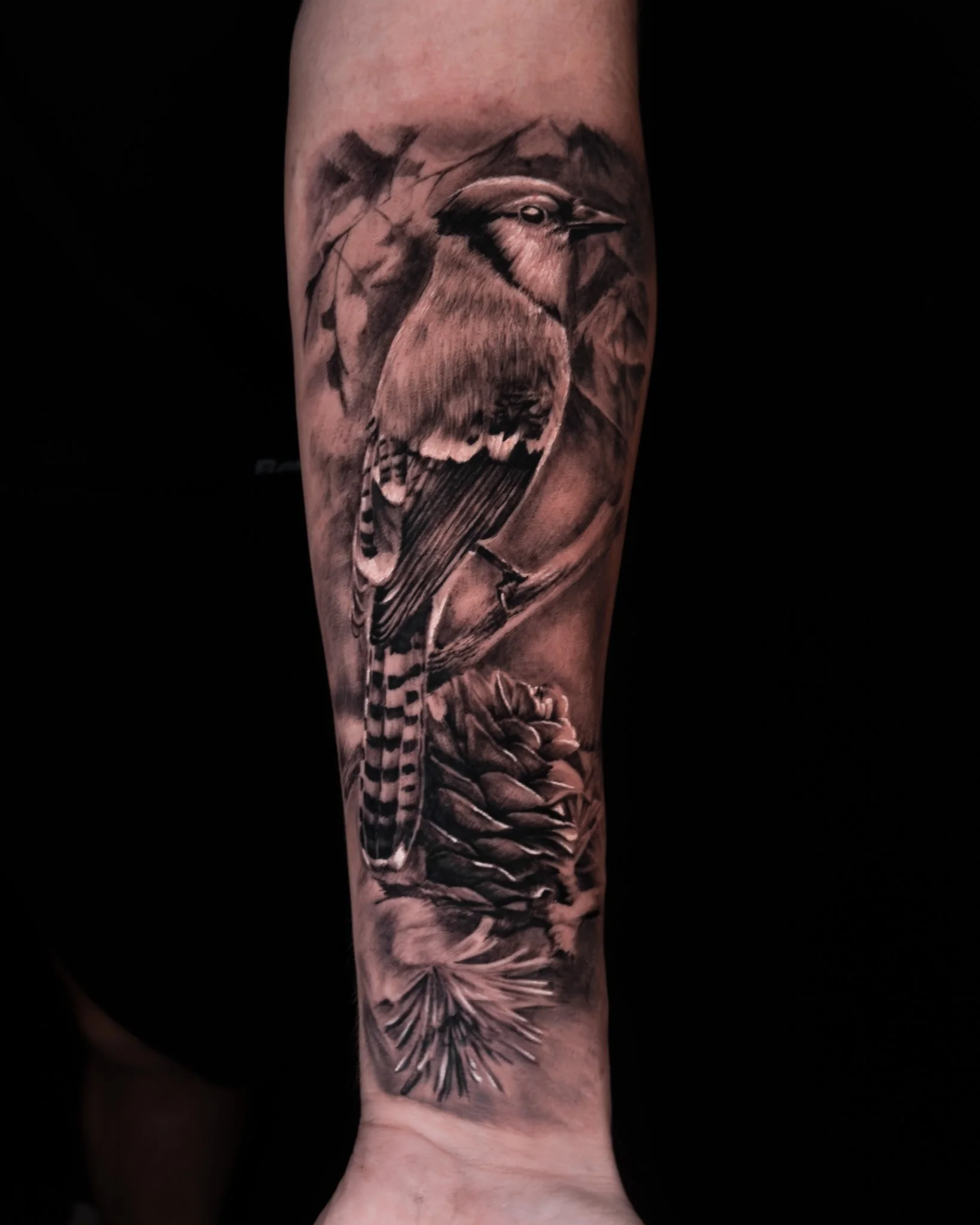 blue-jay-realism-tattoo-toronto.JPG