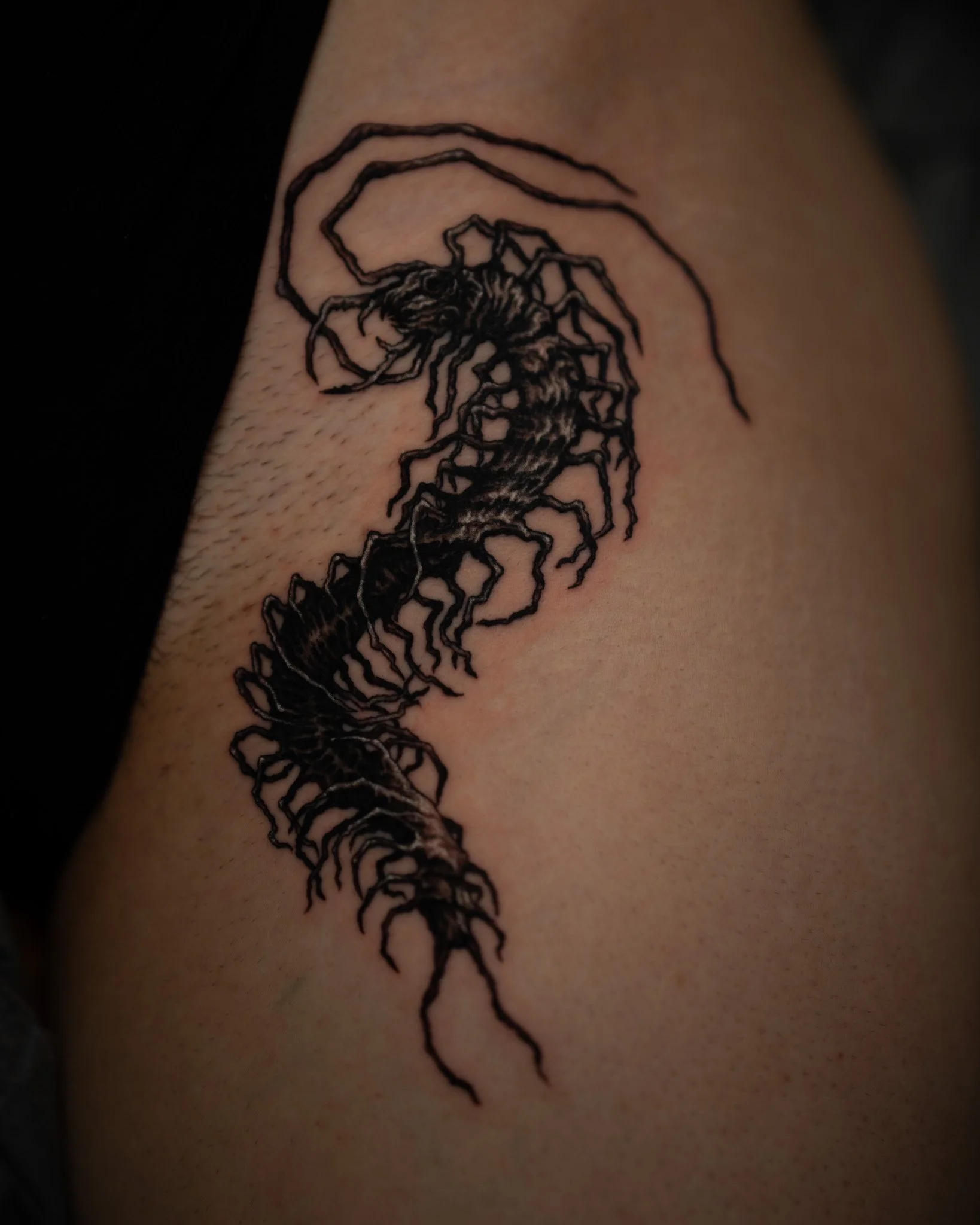 centipede-leg-tattoo-toronto.JPG