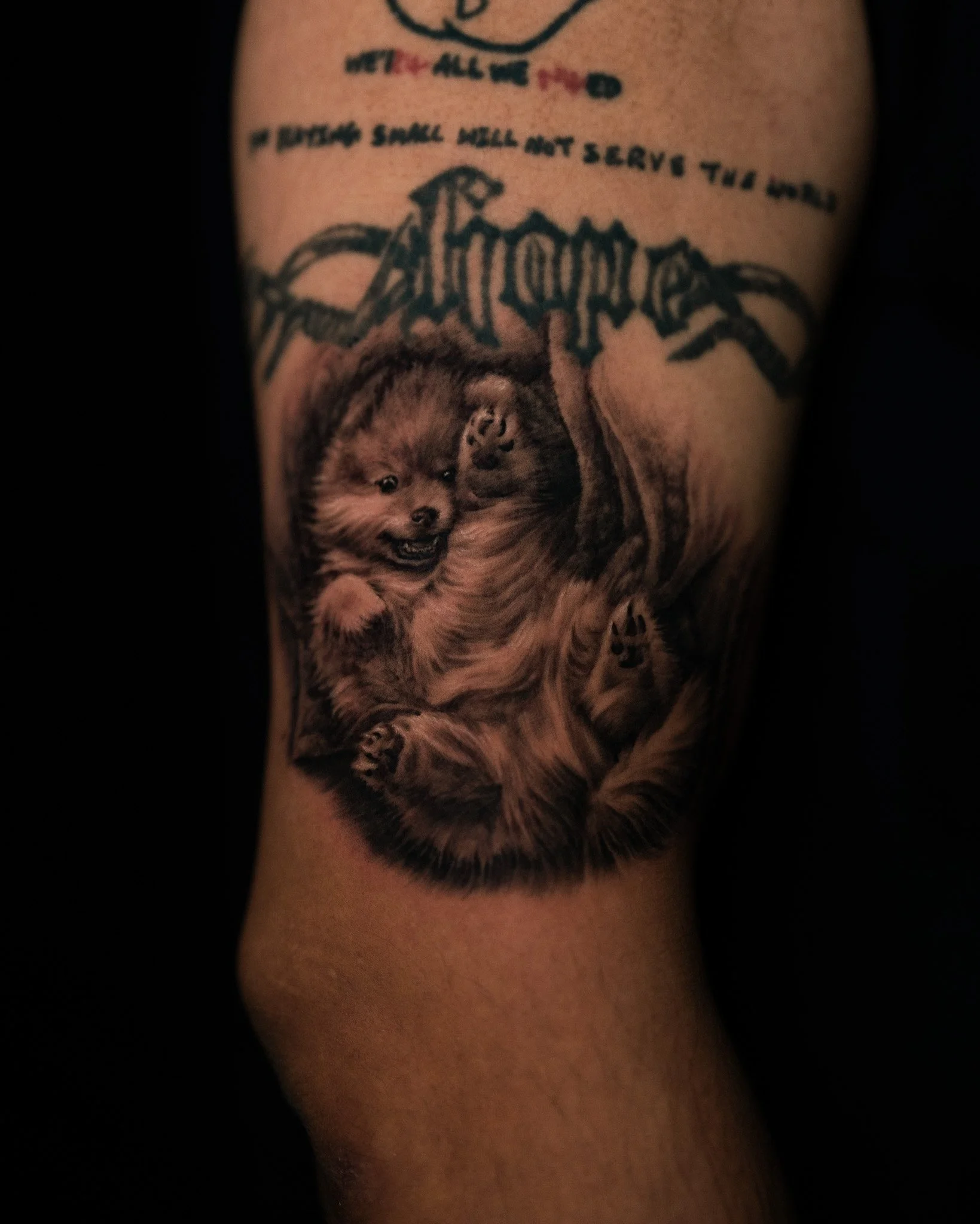 dog-portrait-micro-realism-tattoo-toronto.JPG