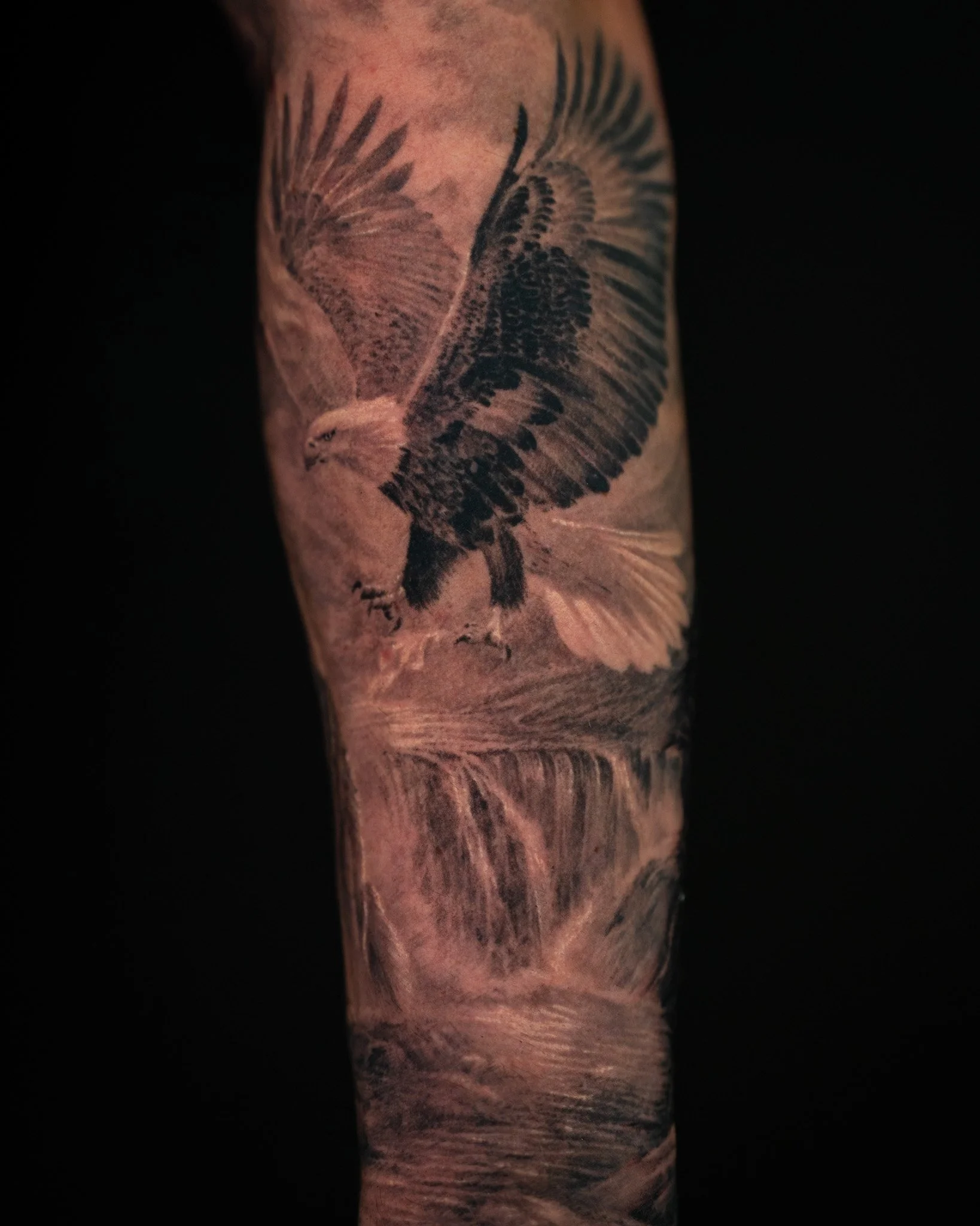 eagle-waterfall-healed-tattoo-toronto.JPG