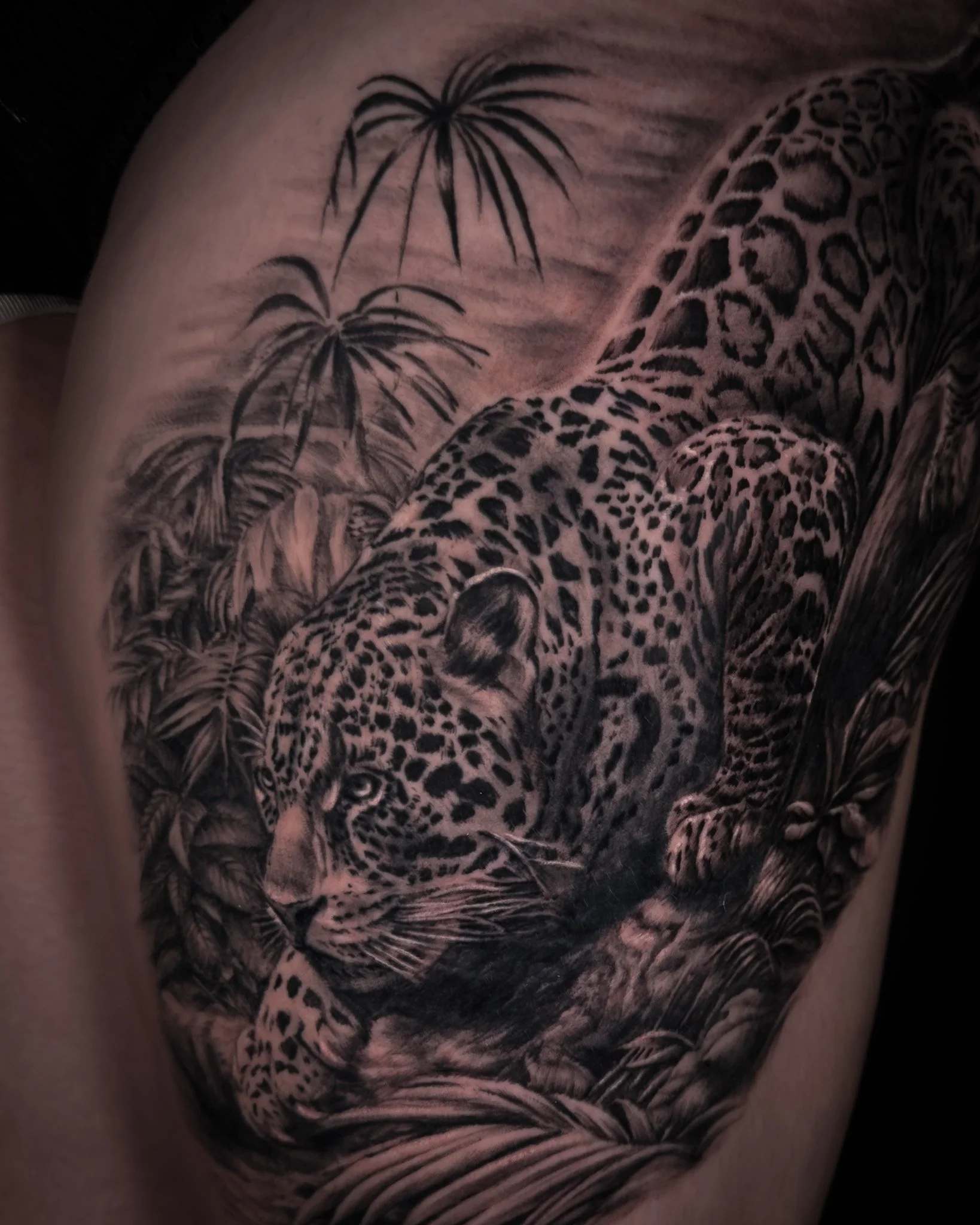 jaguar-leopard-realism-tattoo-toronto.JPG