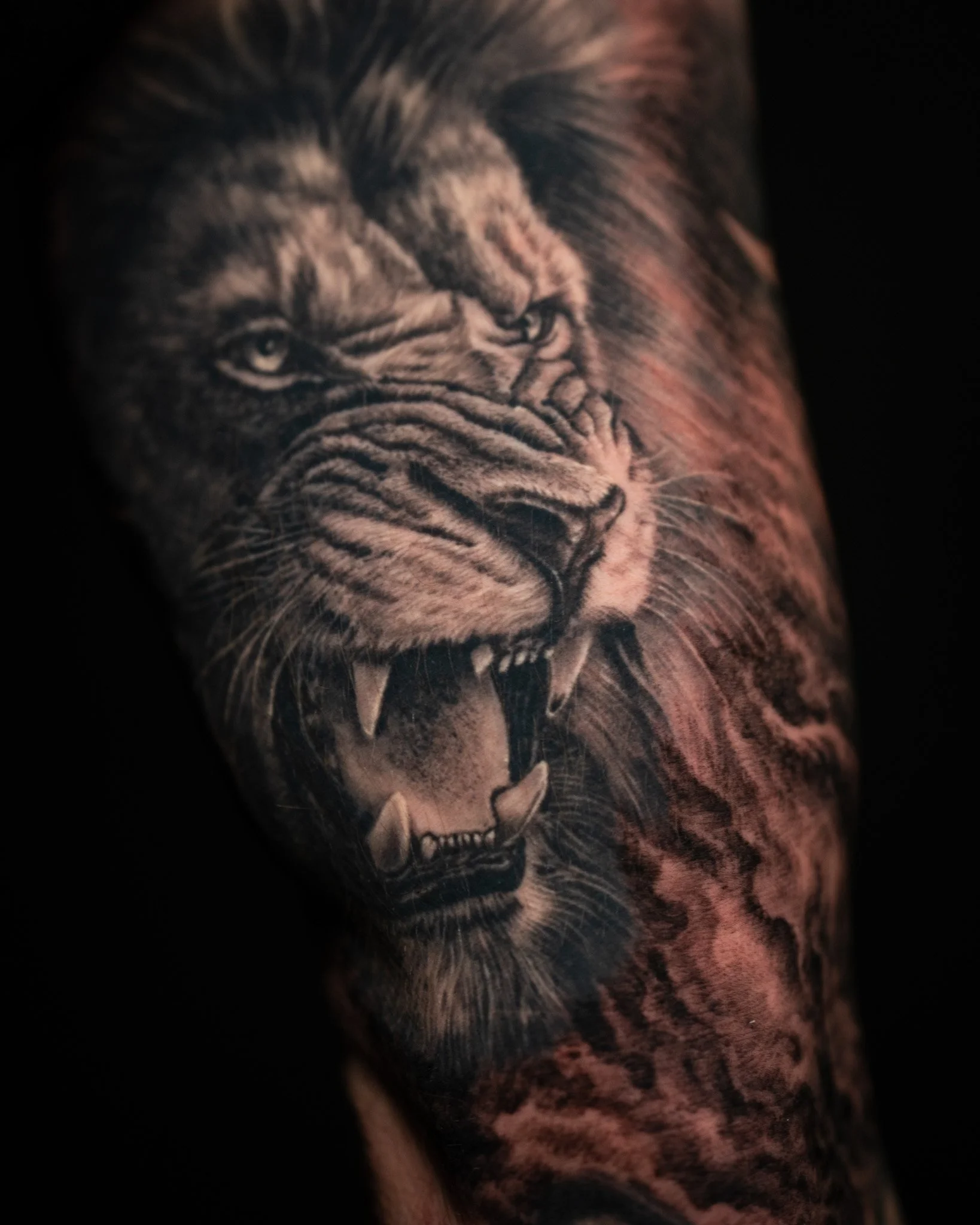 lion-realism-healed-tattoo-toronto.JPG
