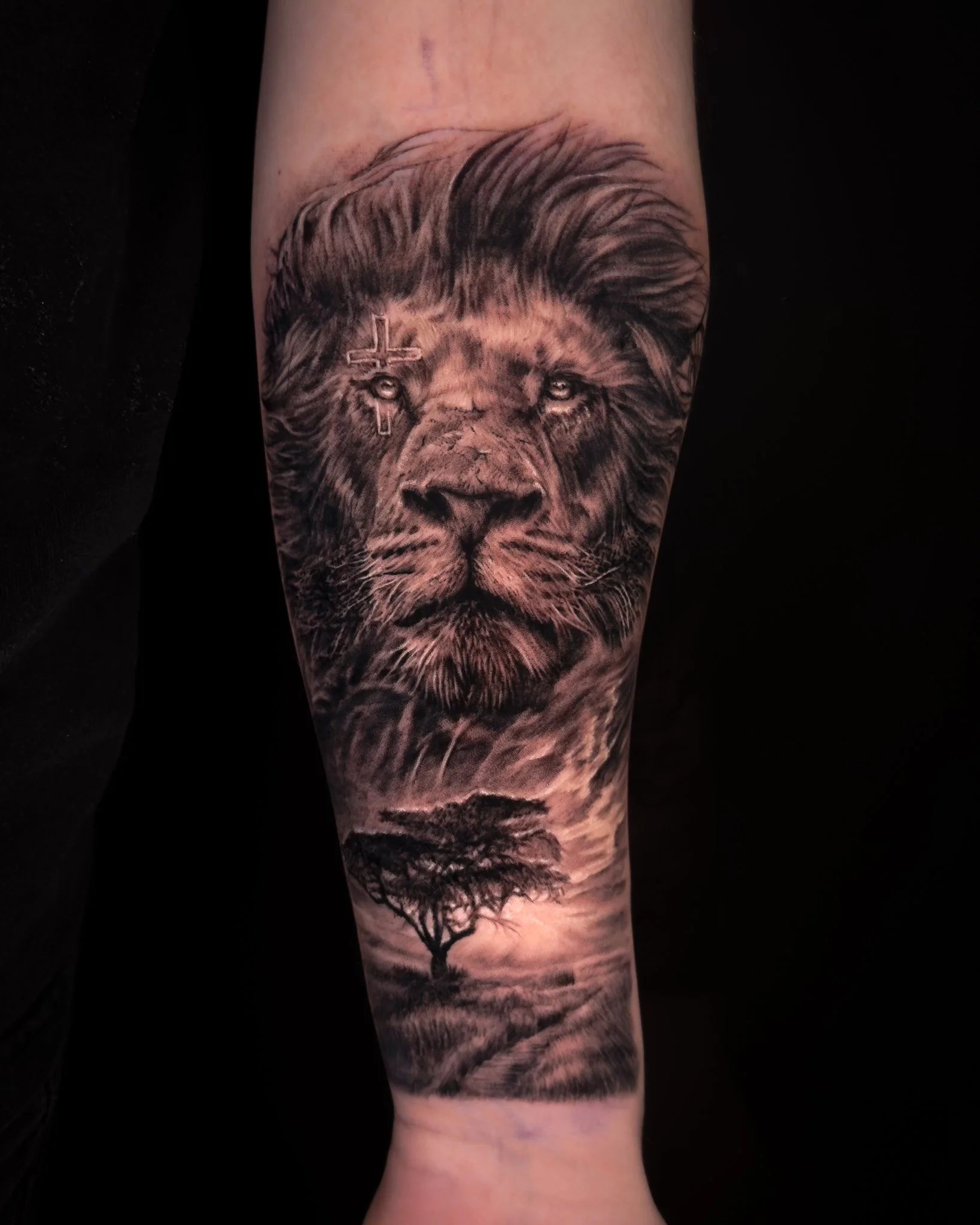 lion-realism-landscape-tattoo-toronto.JPG