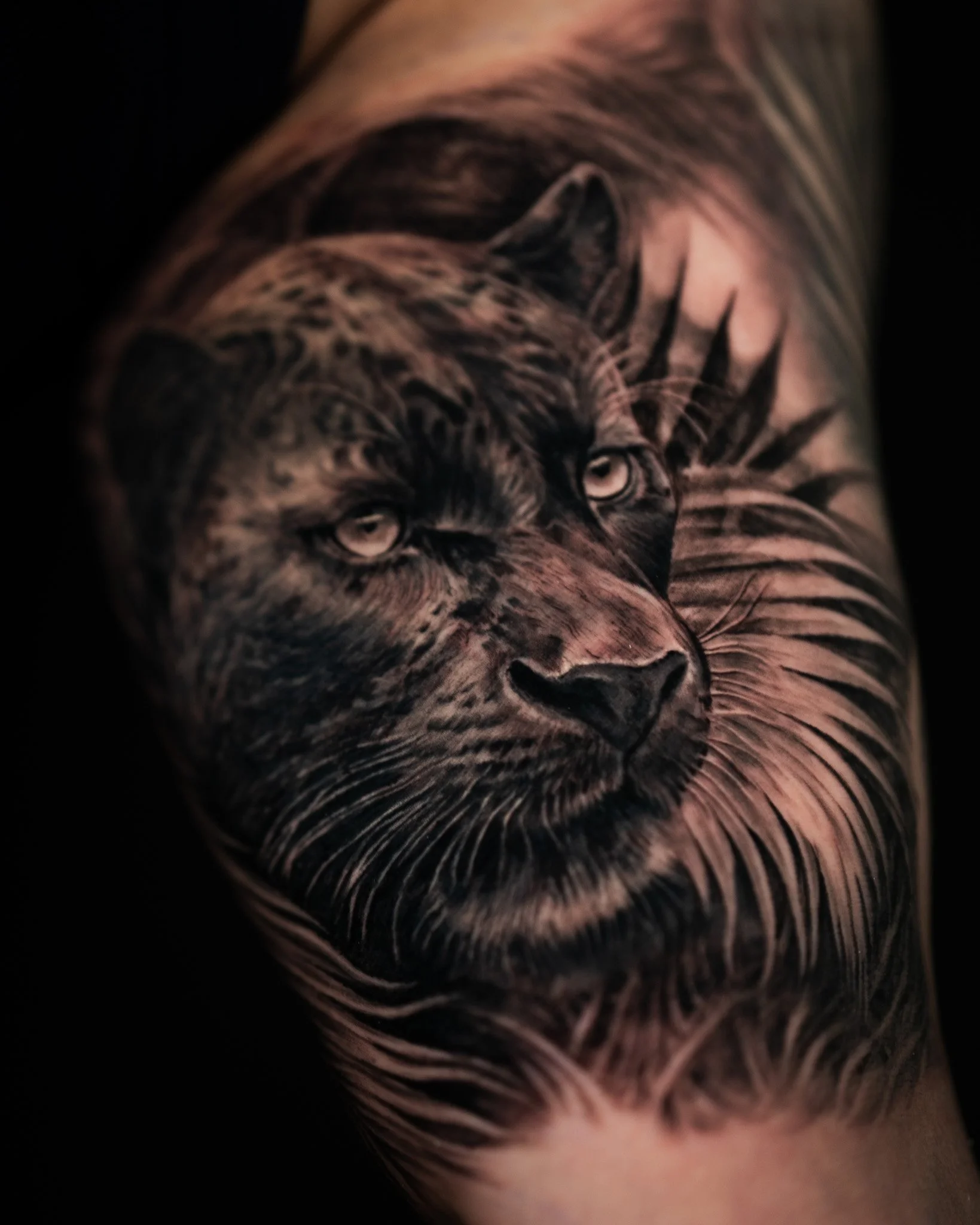 panther-realism-tattoo-toronto.JPG