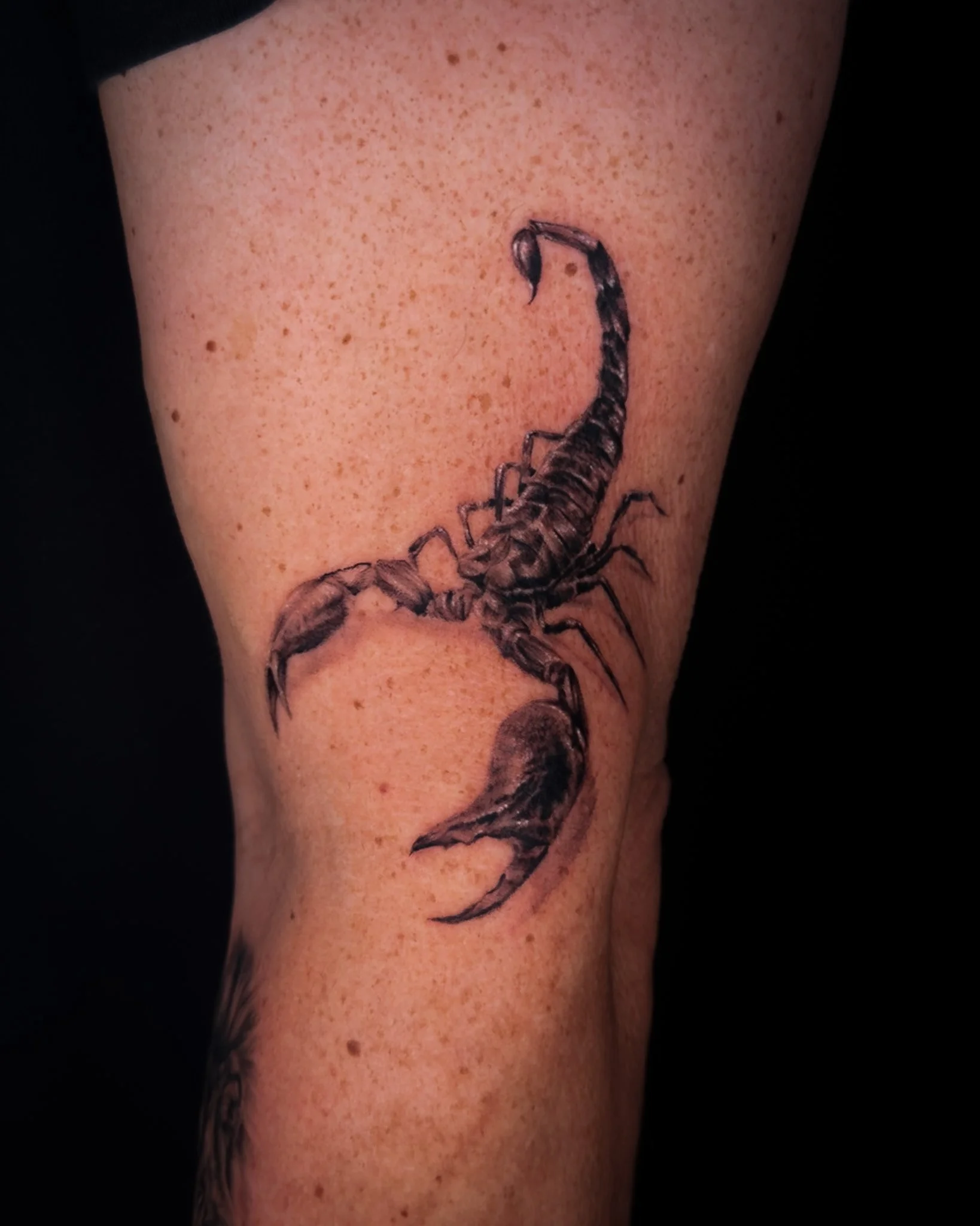 scorpion-realism-small-tattoo-toronto.JPG