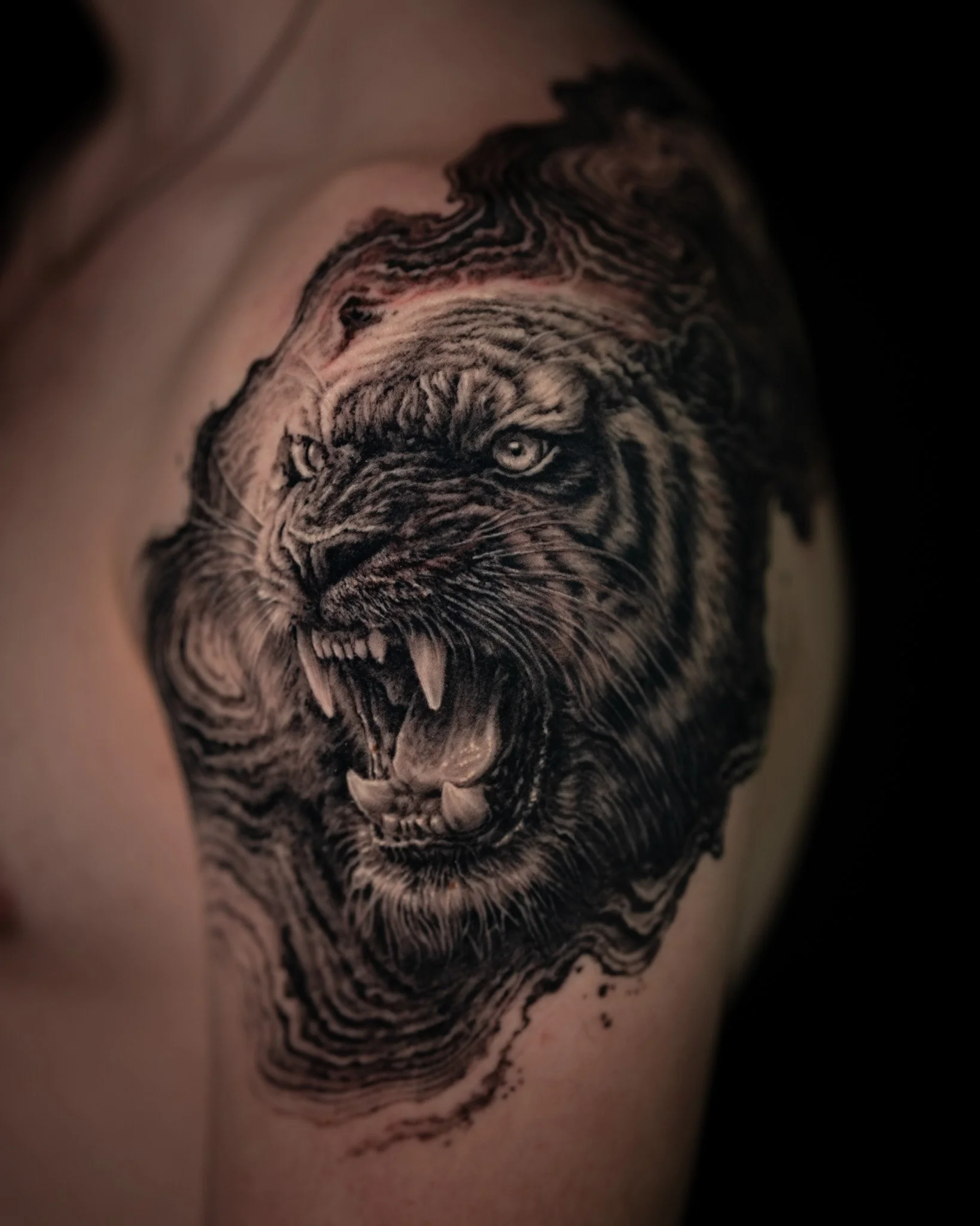 tiger-realism-flow-tattoo-toronto.JPG