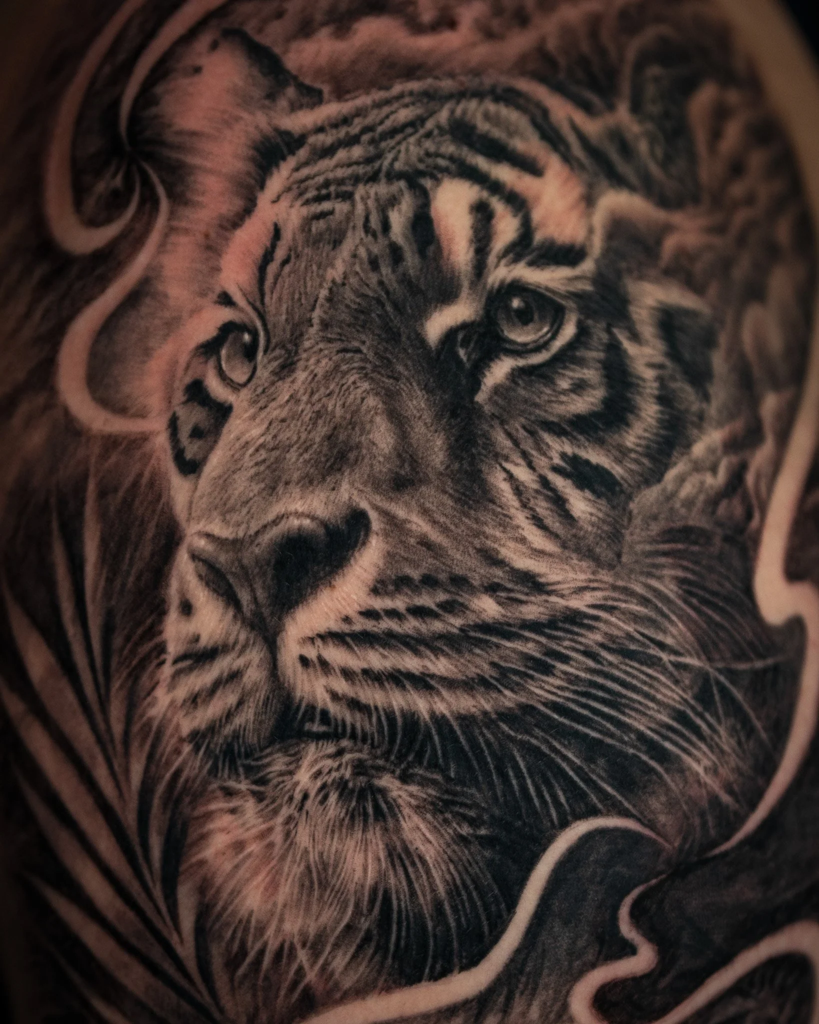 tiger-realism-jungle-tattoo-toronto.JPG