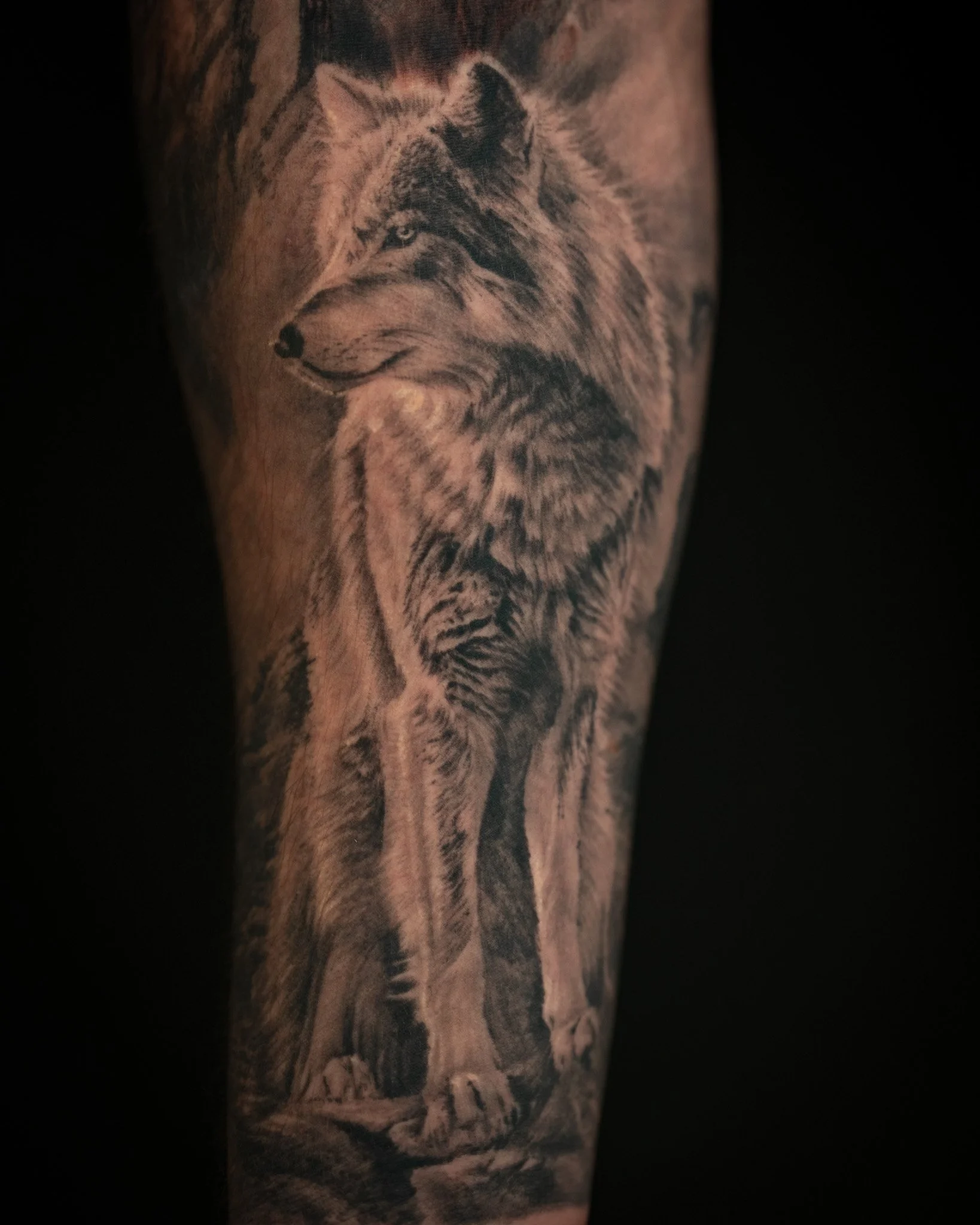 wolf-healed-realism-tattoo-toronto.JPG