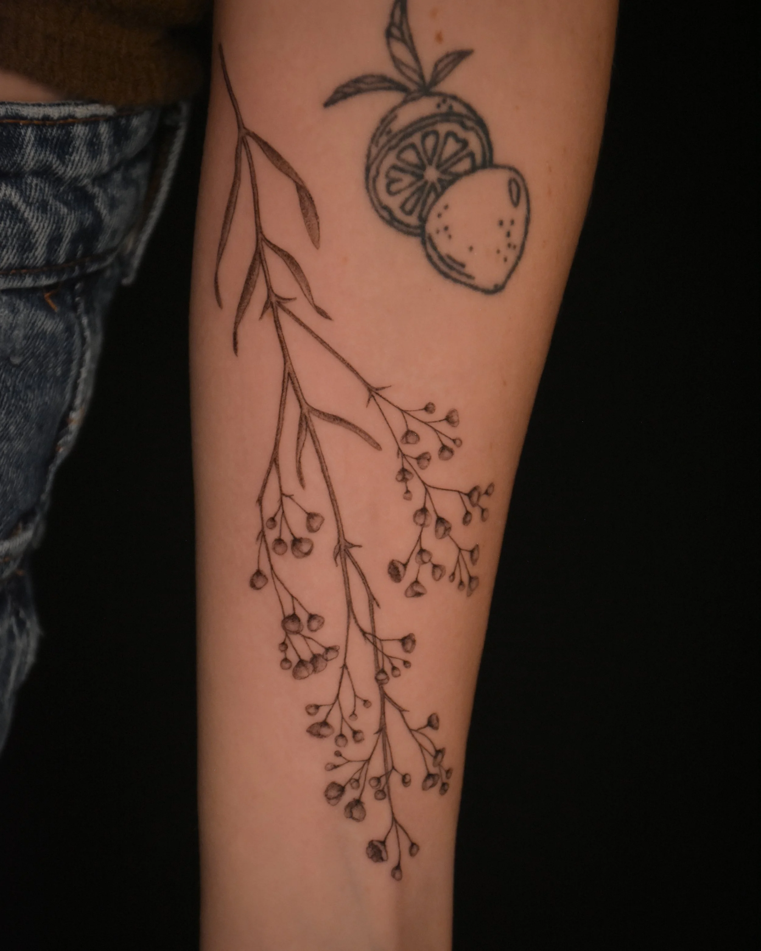 babies_breath_tatttoo_illustration_tattoo_toronto_tattoowool-1-1.JPG