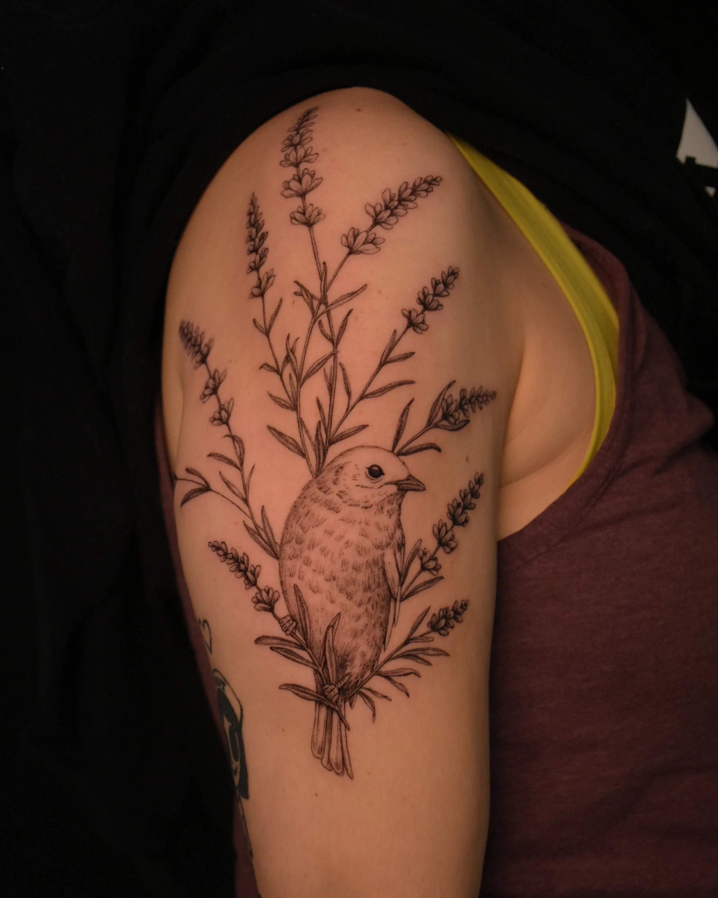 blue_bird_tattoo_ideas_illustration_tattoo_toronto_tattoowool-1-1 2.JPG