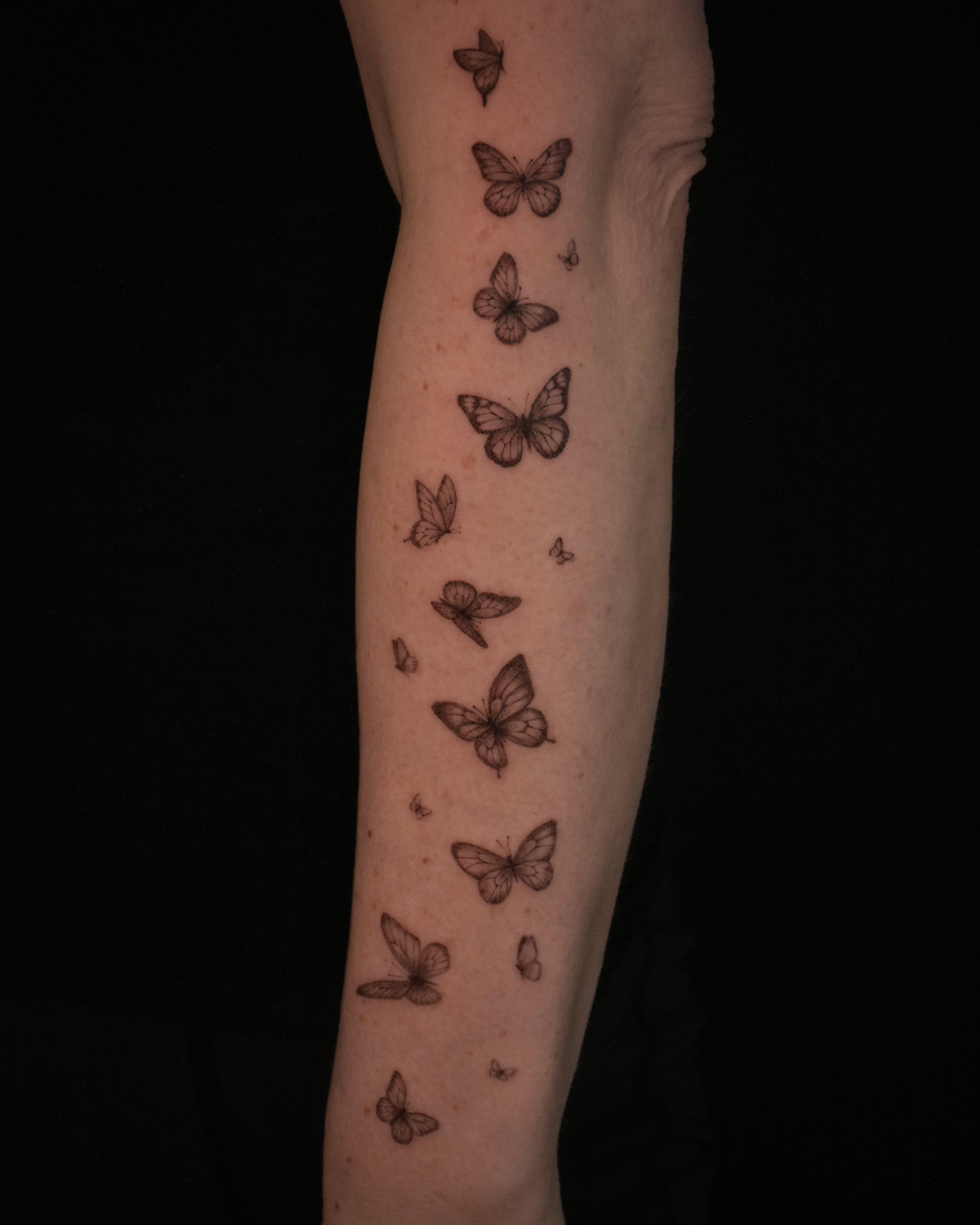 butterflies_tatttoo_illustration_tattoo_toronto_tattoowool-1-1.JPG
