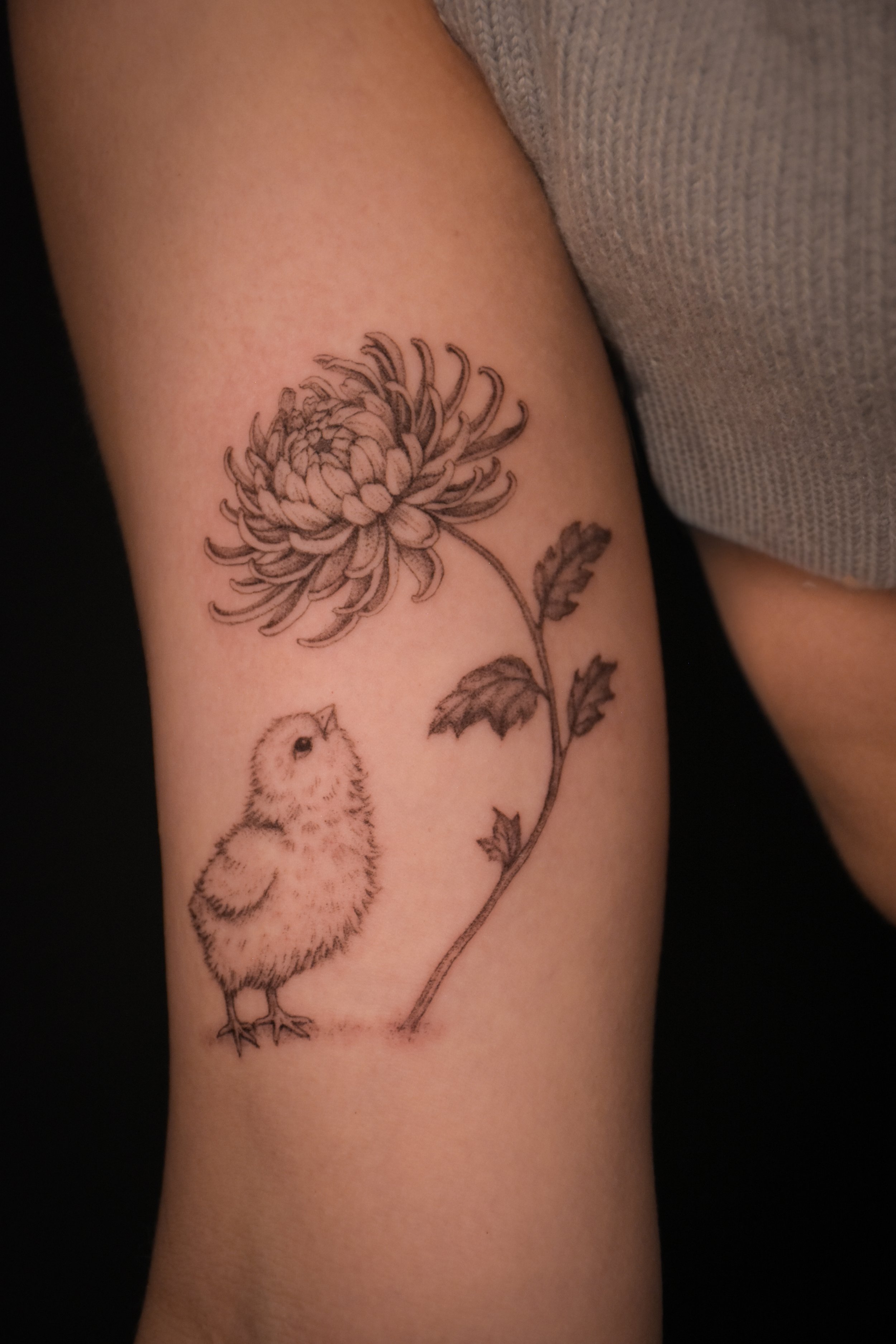 chick_tatttoo_illustration_tattoo_toronto_tattoowool-1-1.JPG