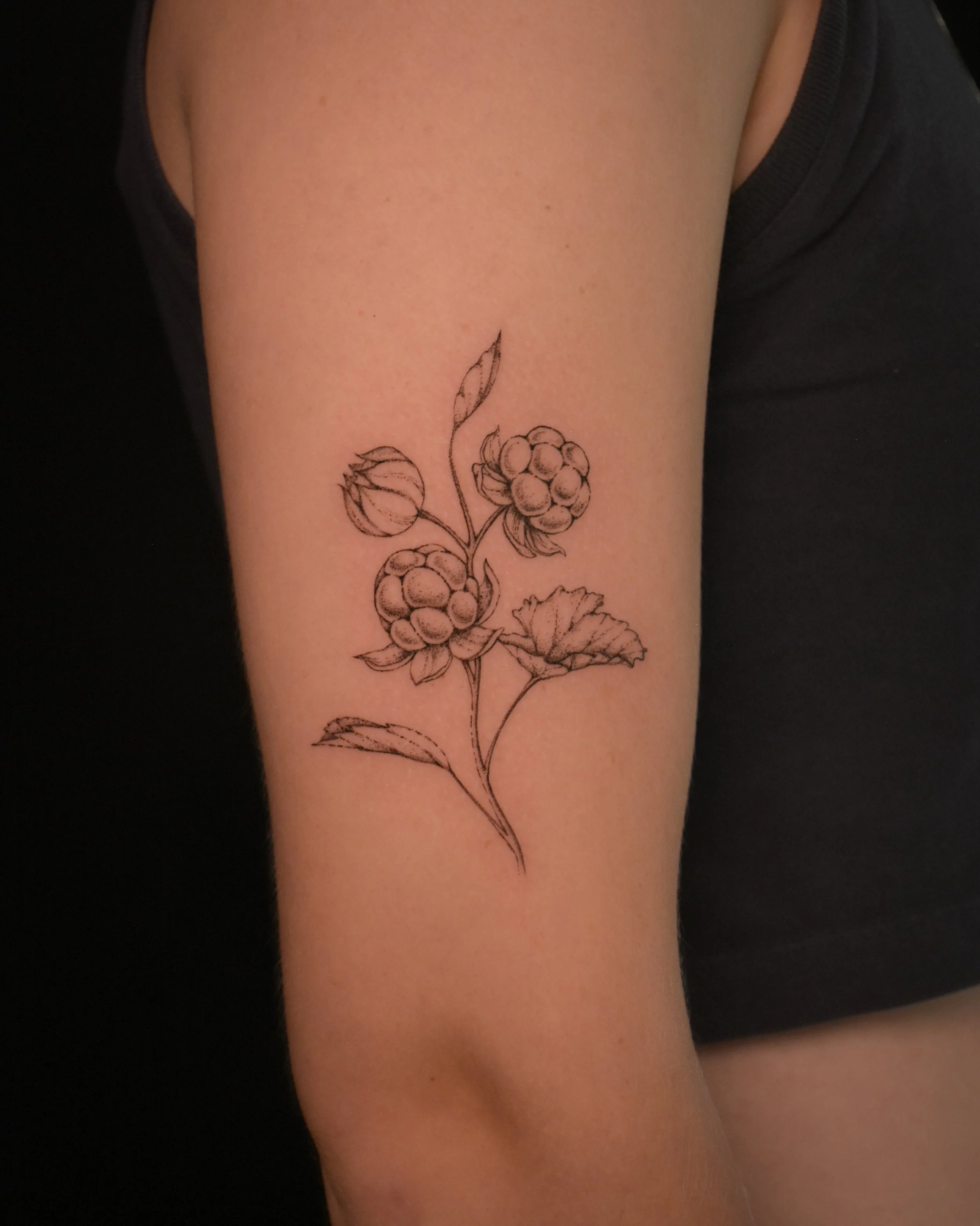 cloud_berries_tatttoo_illustration_tattoo_toronto_tattoowool-1-1.JPG