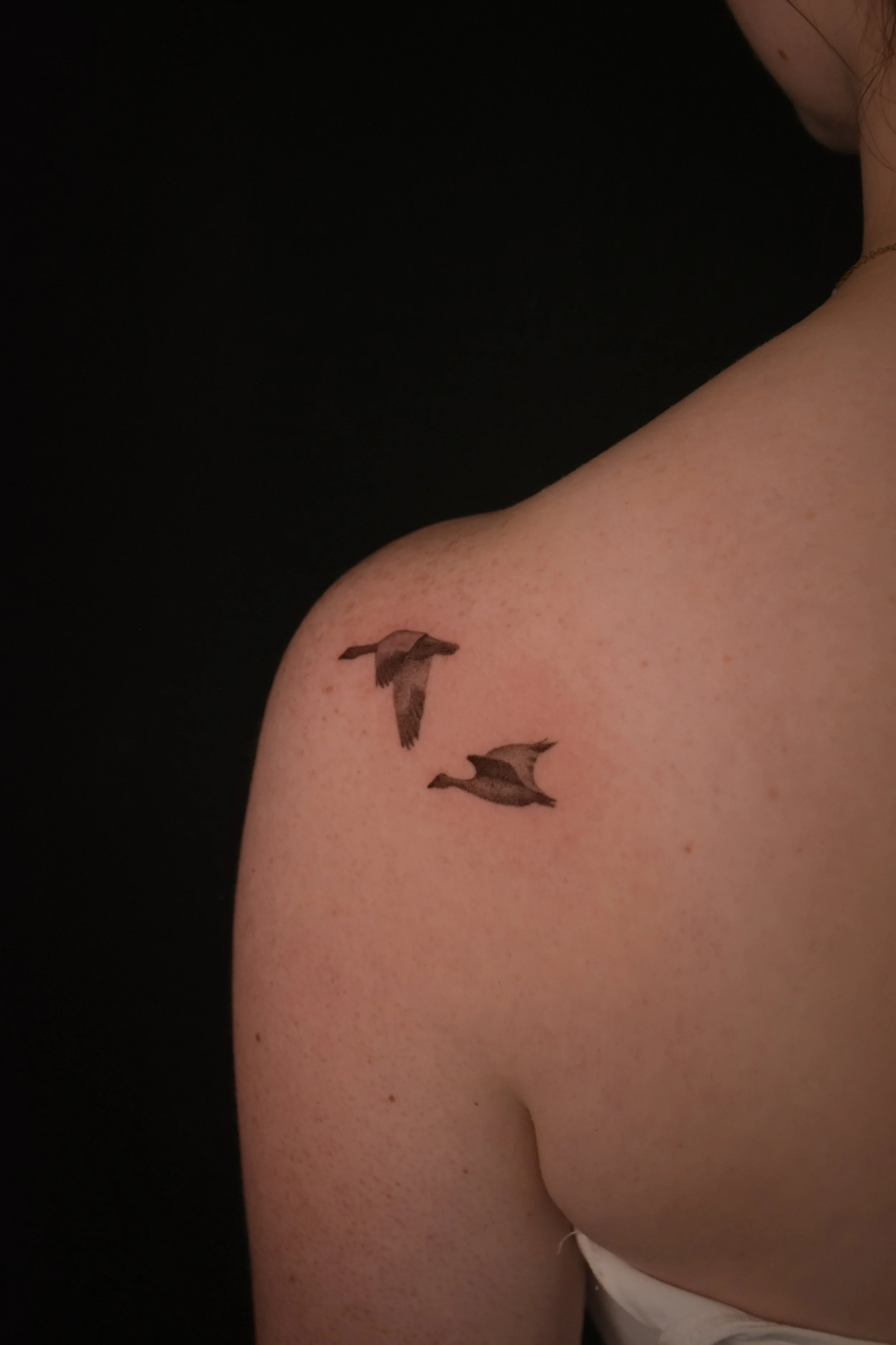 geese_tatttoo_illustration_tattoo_toronto_tattoowool-1-1.JPG
