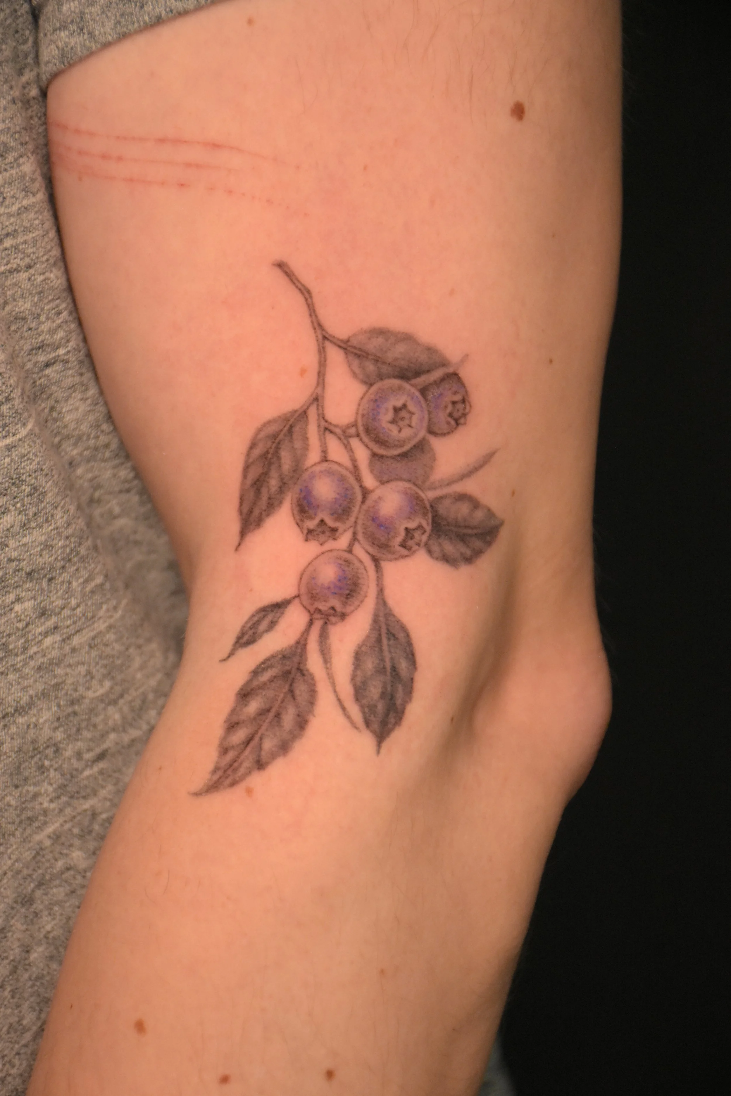 moth_ideas_illustration_tattoo_toronto_tattoowool-1-1 3.JPG