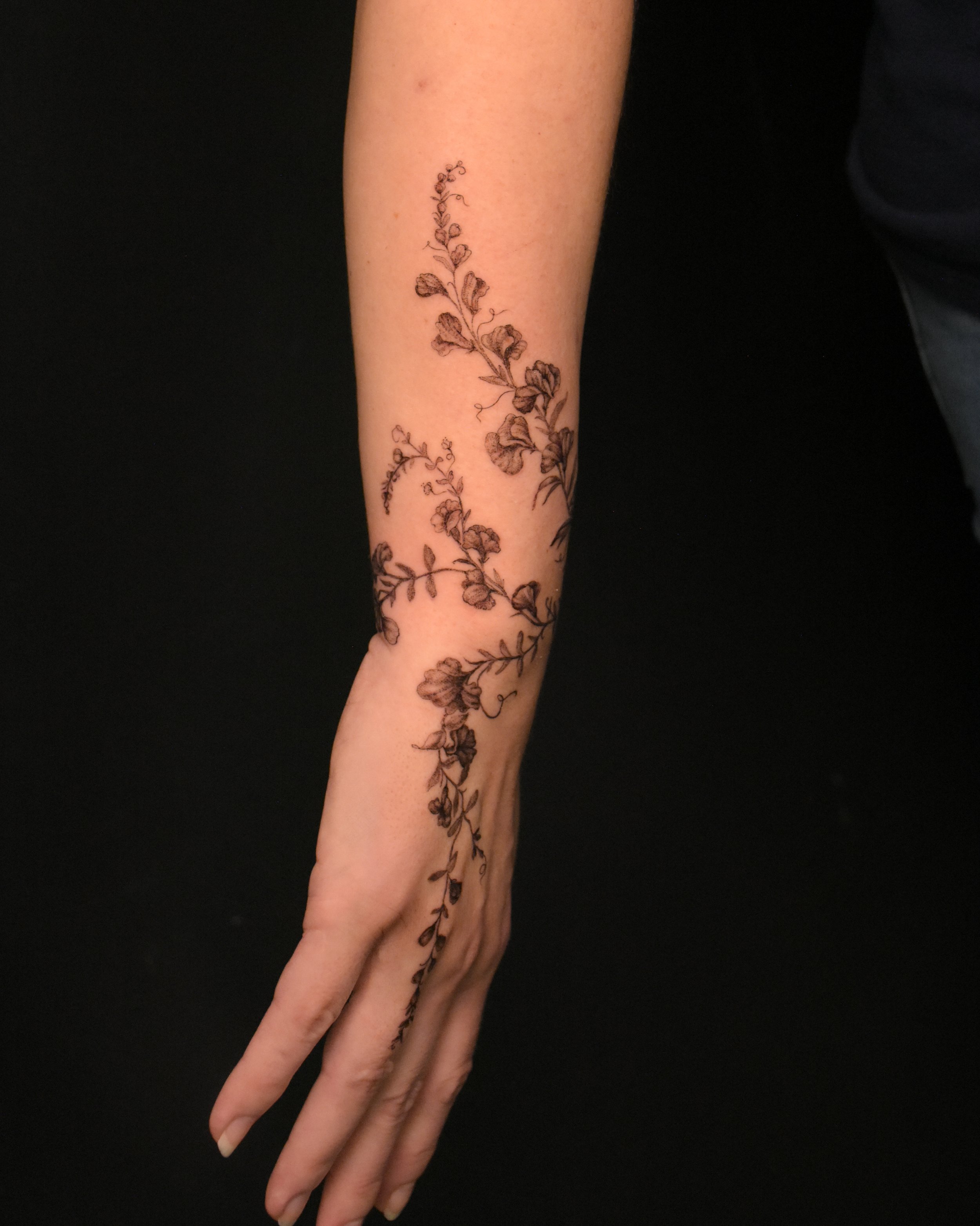 pea_vine_tatttoo_illustration_tattoo_toronto_tattoowool-1-1.JPG