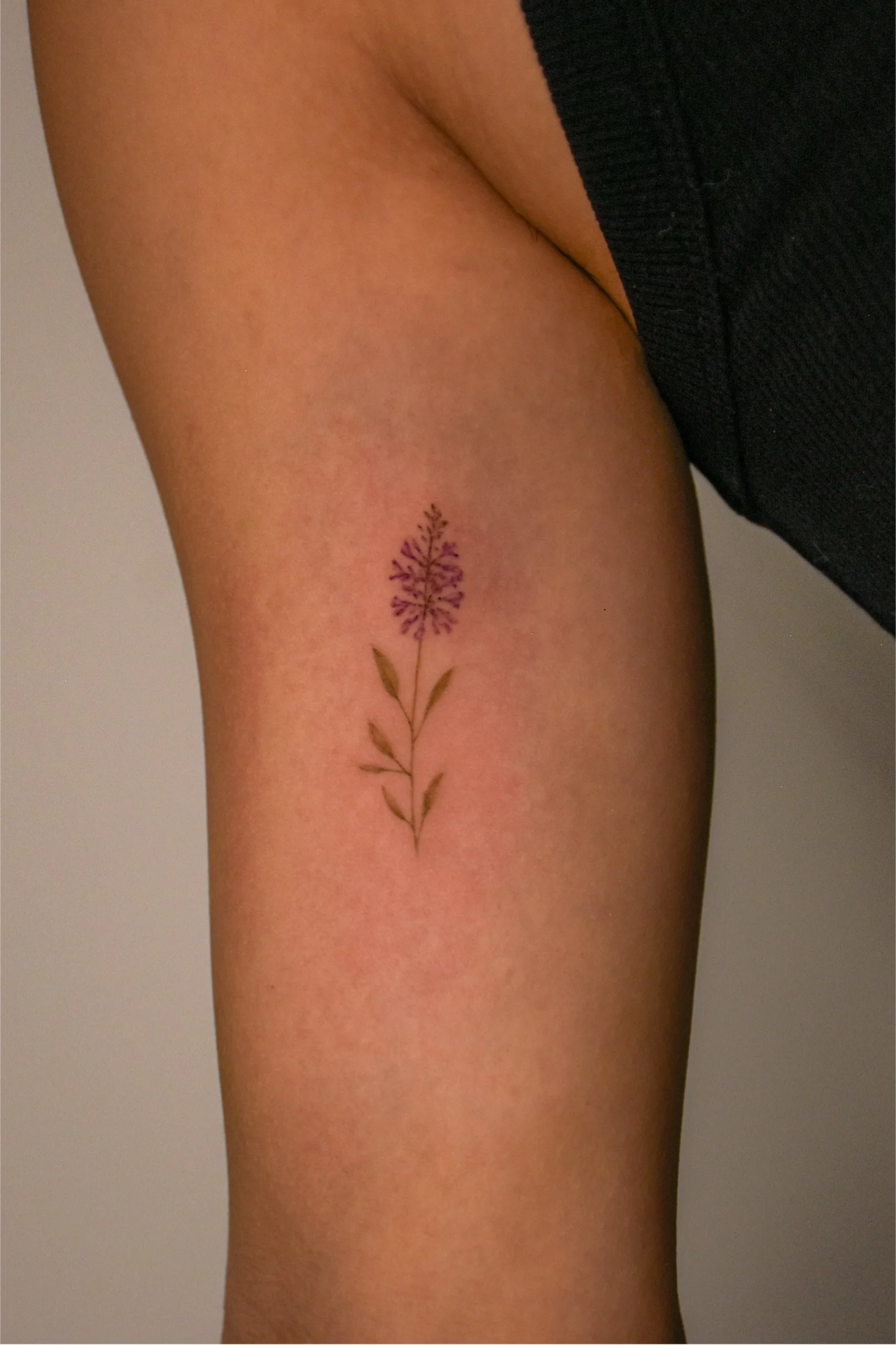 sage_colour_print_tattoo_ideas_illustration_tattoo_toronto_tattoowool-1-1.JPG