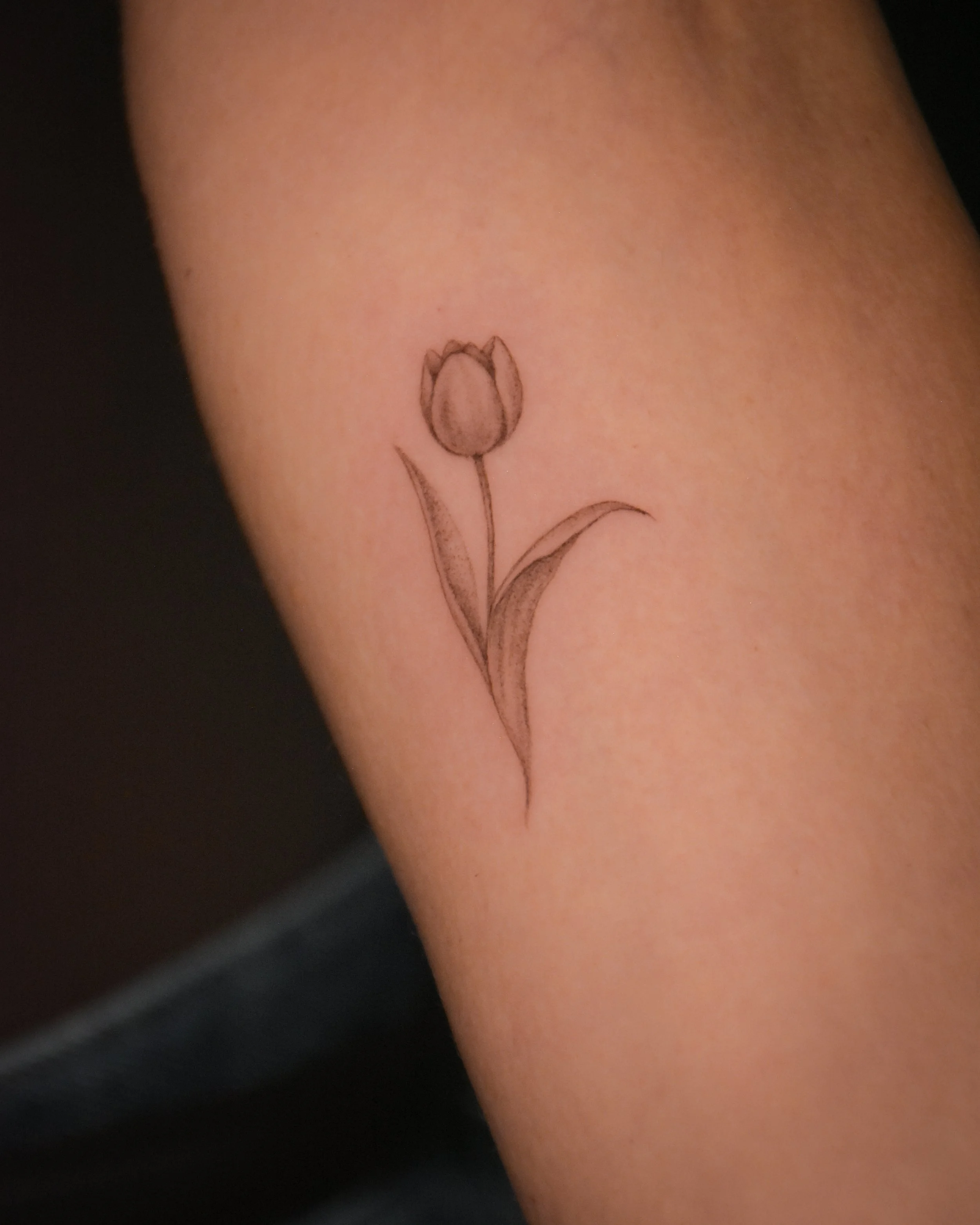 tulip_tatttoo_illustration_tattoo_toronto_tattoowool-1-1(1).JPG