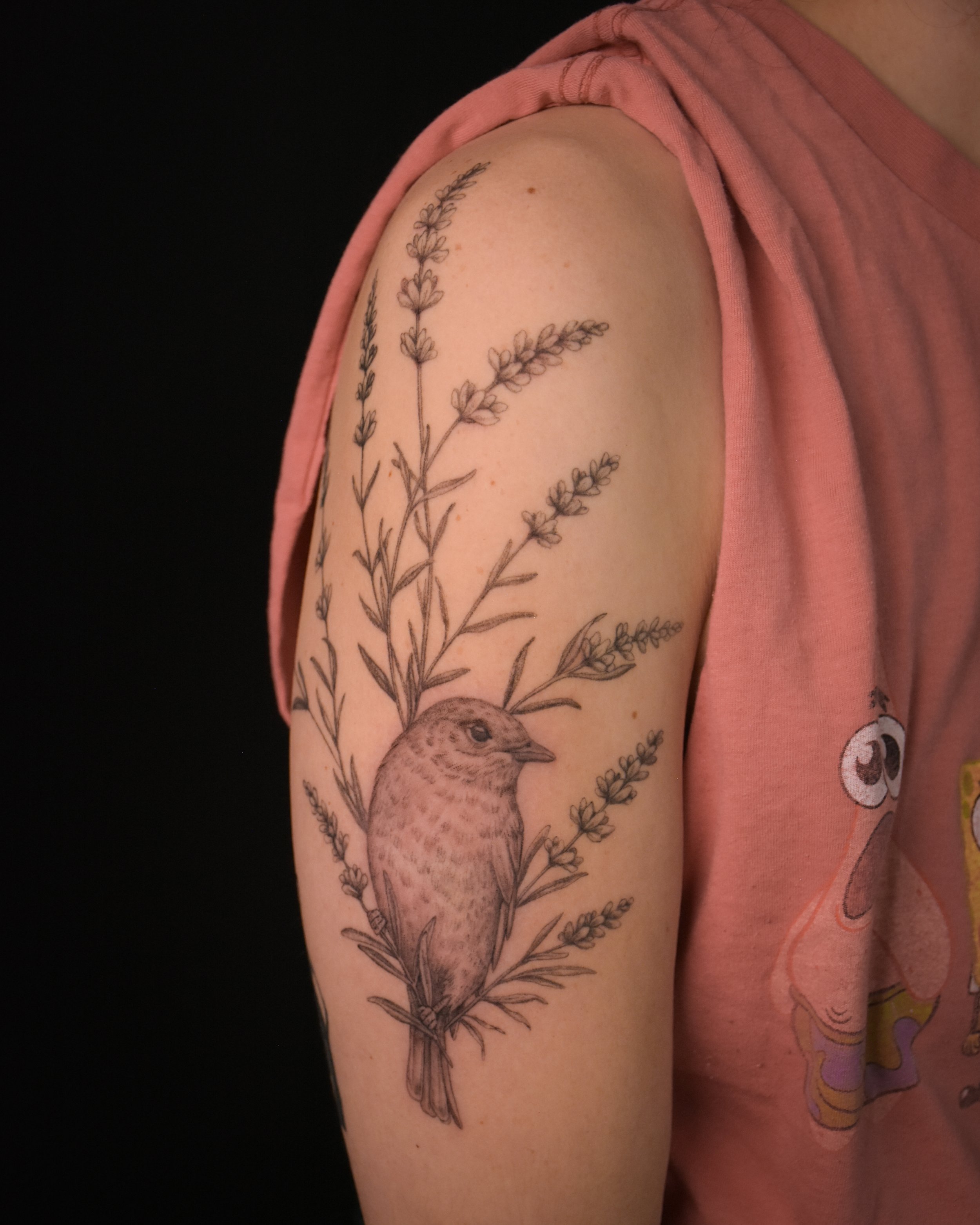 two_headed_caf_tatttoo_illustration_tattoo_toronto_tattoowool-1-1.JPG