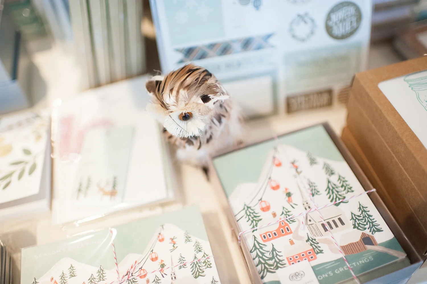 Photo by: Paper Delights