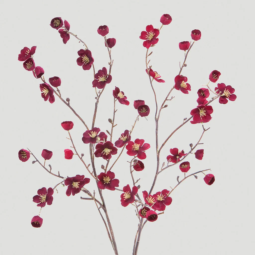 Velvet Blossoms - World Market 