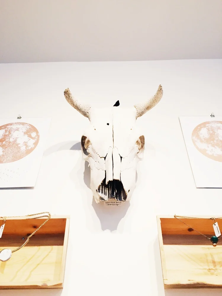 Moorea Seal Anniversary Party 