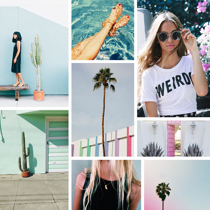 Travel Bug: The Desert