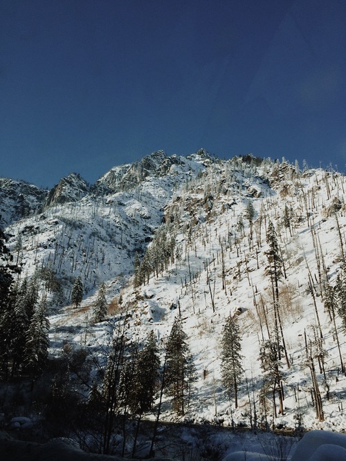 Winter Wonderland + reflections