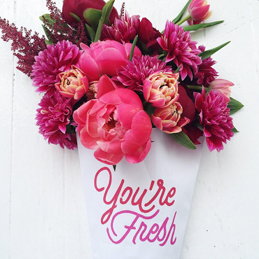 Instagram Weekly Favorites