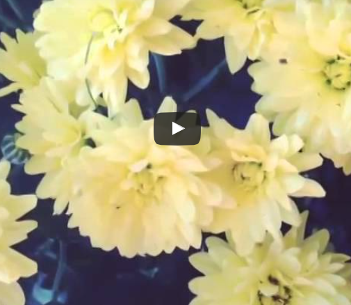 An October Sunday morning