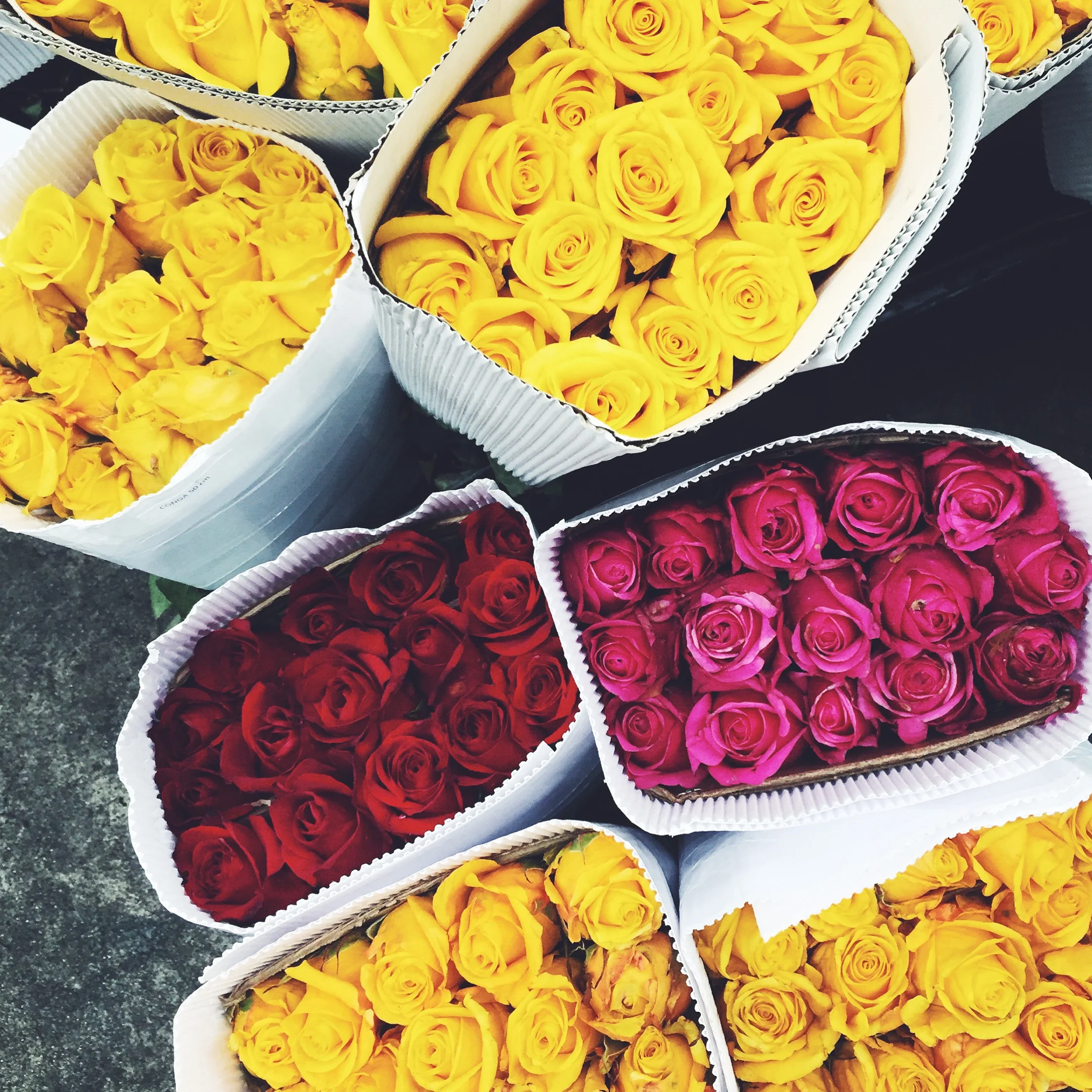 Celebrating Valentine's Day or Galentine's Day Under $100