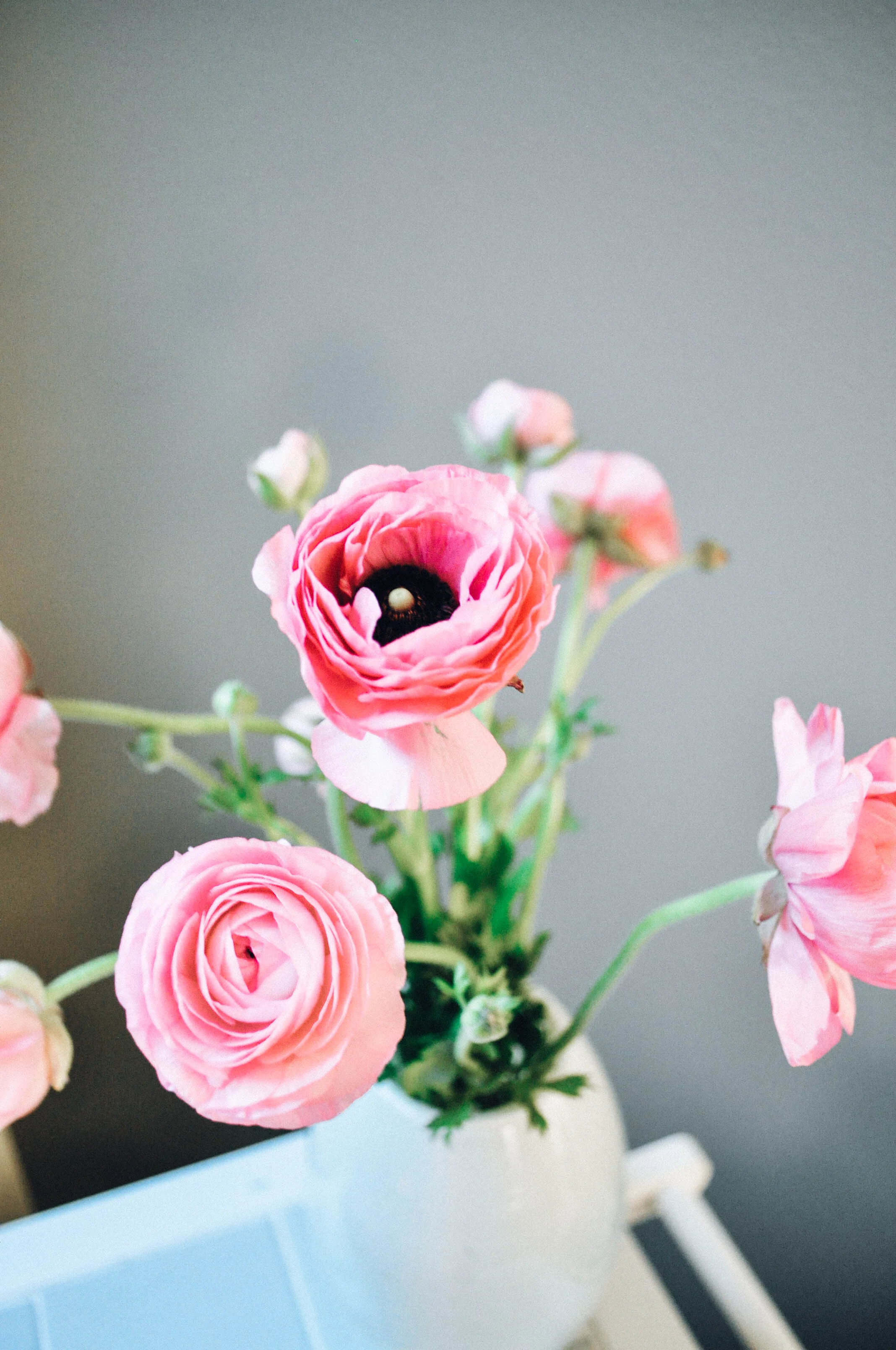 My Top 5 life tips for when you start a new job