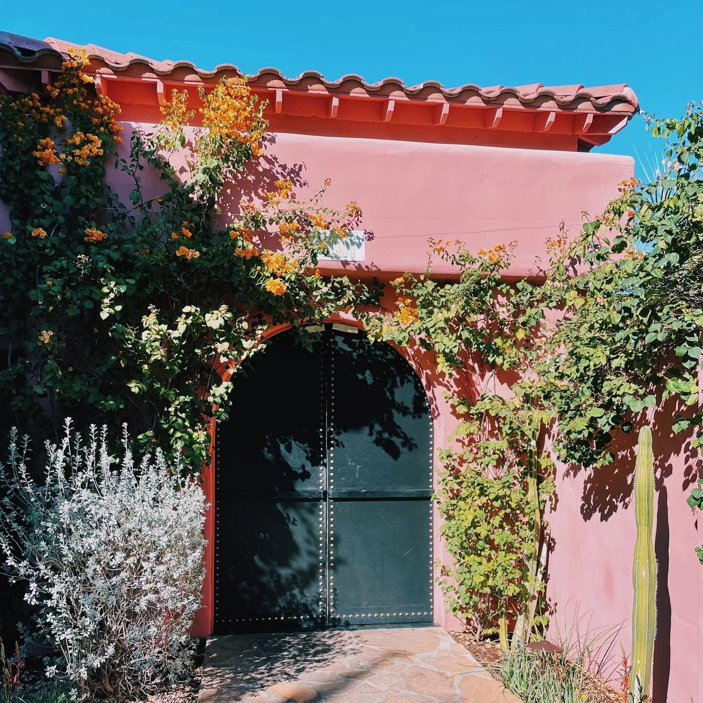 ROSÉ | Happy Galentine's Day! — West Coast Aesthetic