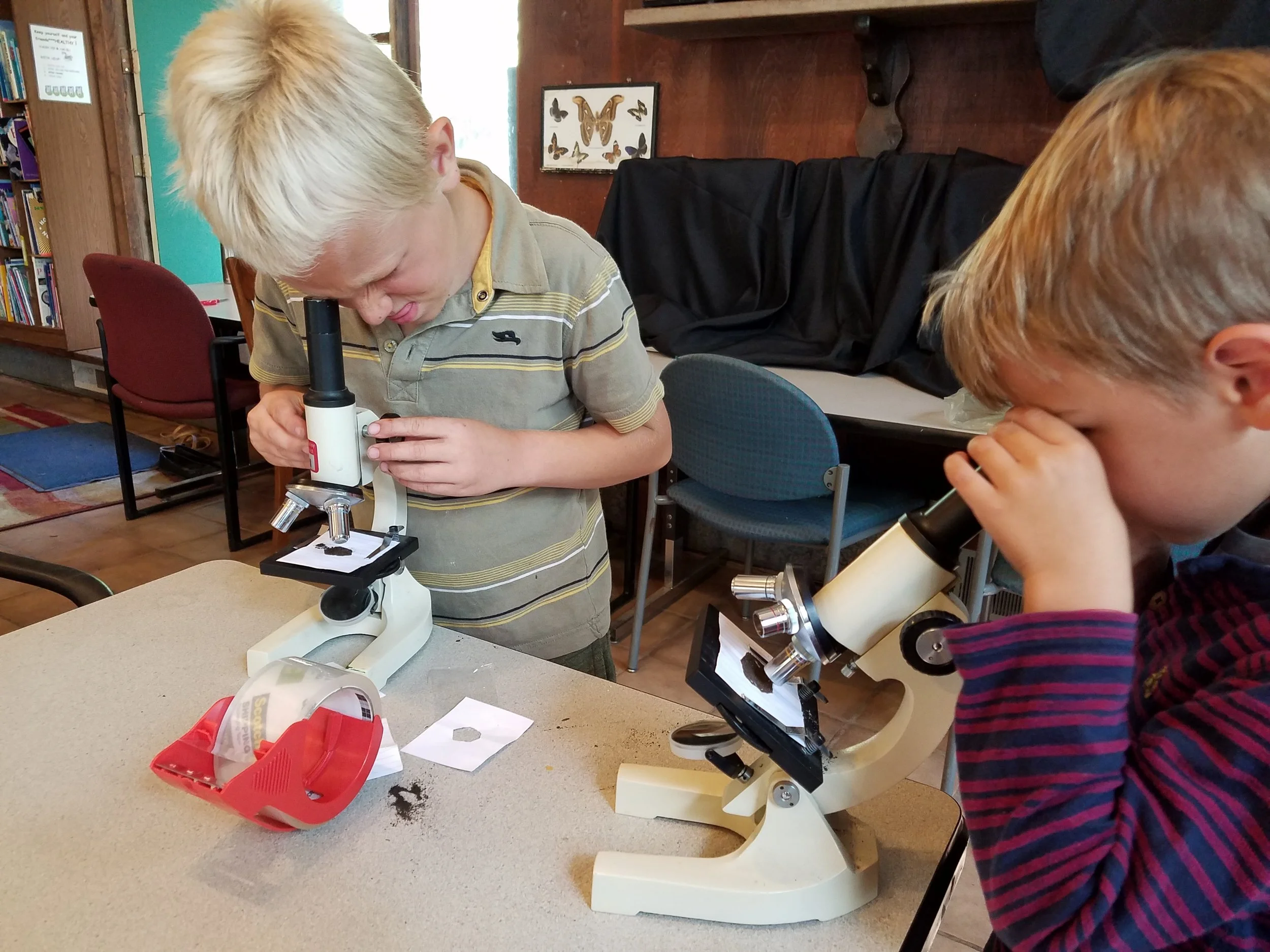 Ezra Solomon microscope.jpg