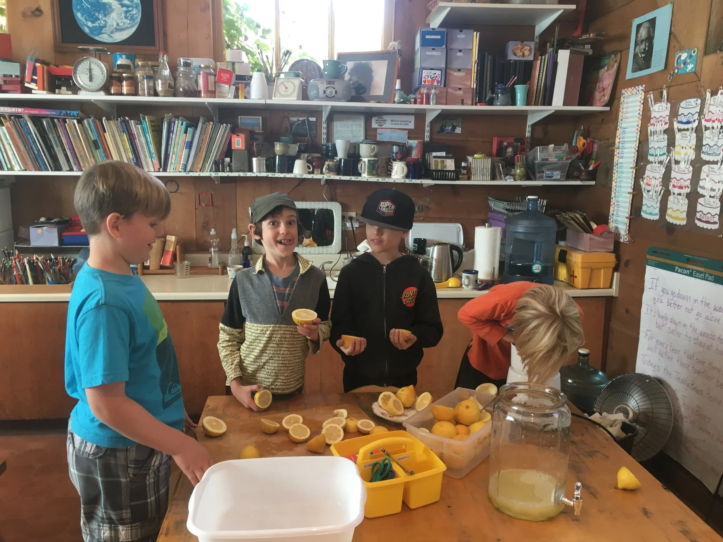 Our Lemonade crew. They loved it tart!Thanks to Liz(Aoife's mother)&nbsp;on Mondays, Shay on Tuesdays, Katy(Sascha's grandmother)&nbsp;on Wednesdays, and Matt on Tuesdays and Thursdays;&nbsp;I have the opportunity to split the grades for lessons whe…
