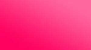 Orchard School Auction