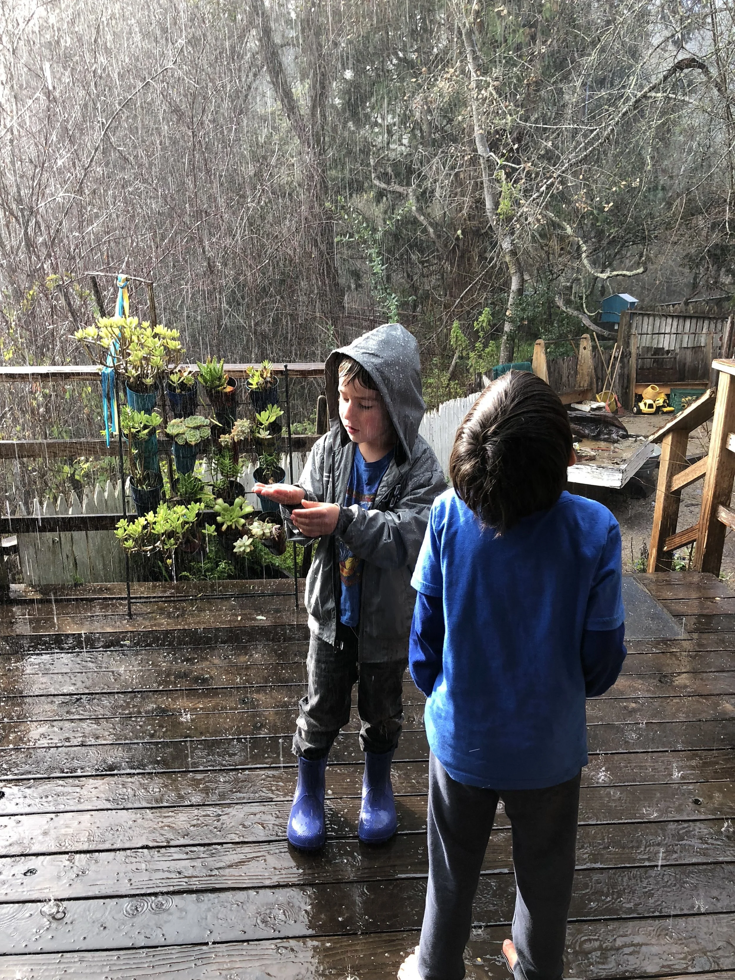 Mickey and Bear enjoying the wild hail storm we had last month